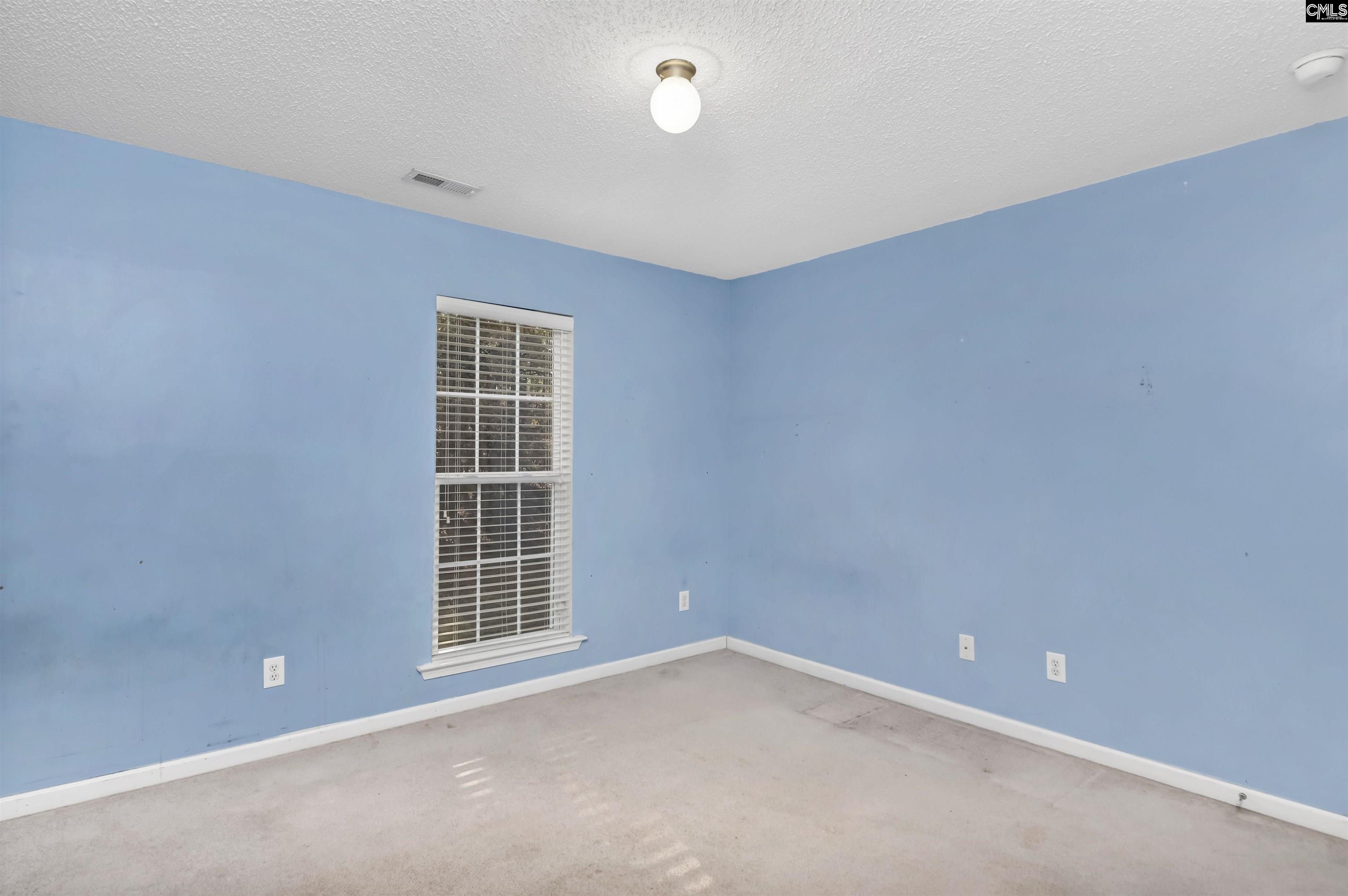 137 Forts Pond Road, Pelion, South Carolina image 13