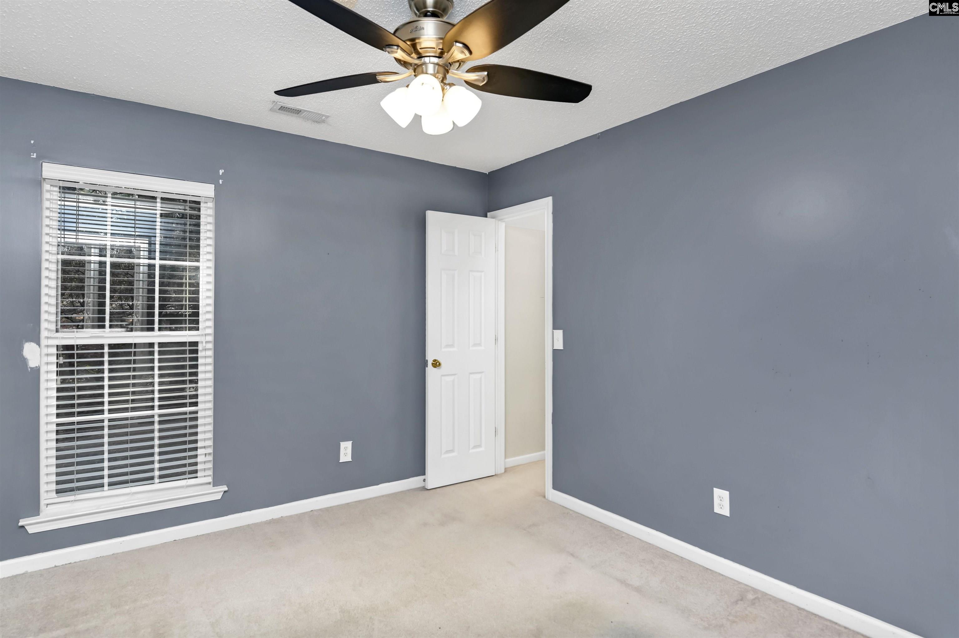 137 Forts Pond Road, Pelion, South Carolina image 14