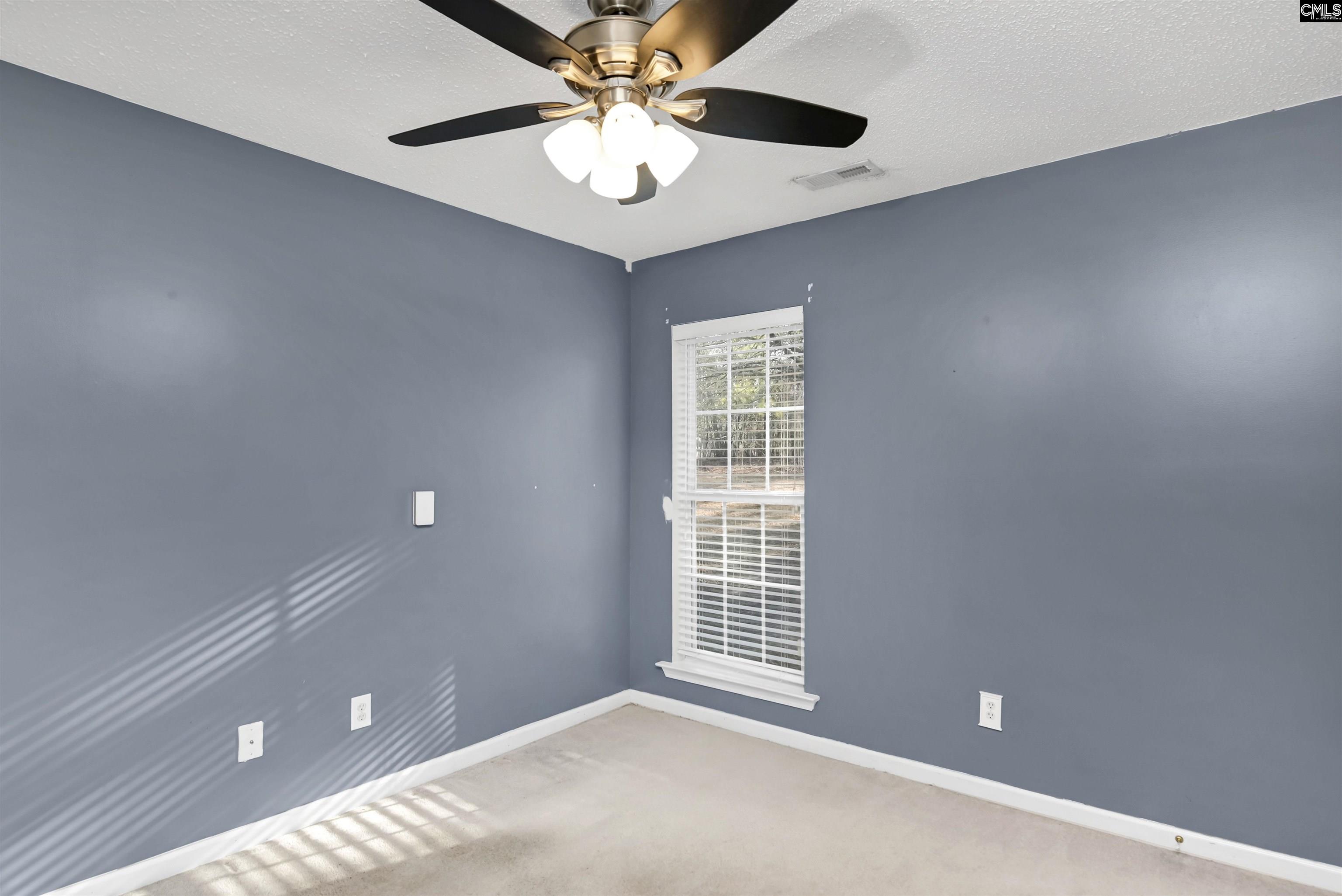 137 Forts Pond Road, Pelion, South Carolina image 15