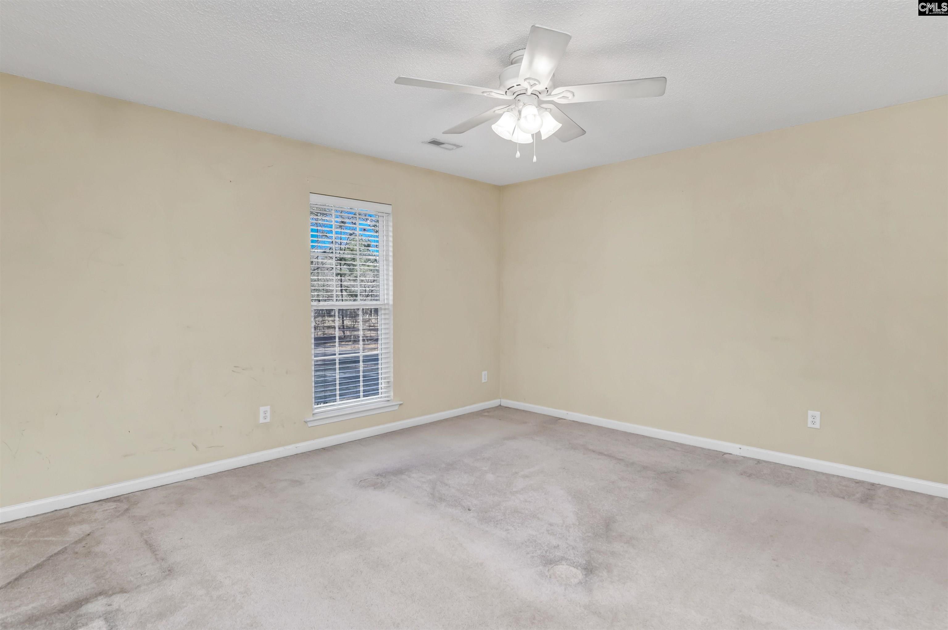 137 Forts Pond Road, Pelion, South Carolina image 5