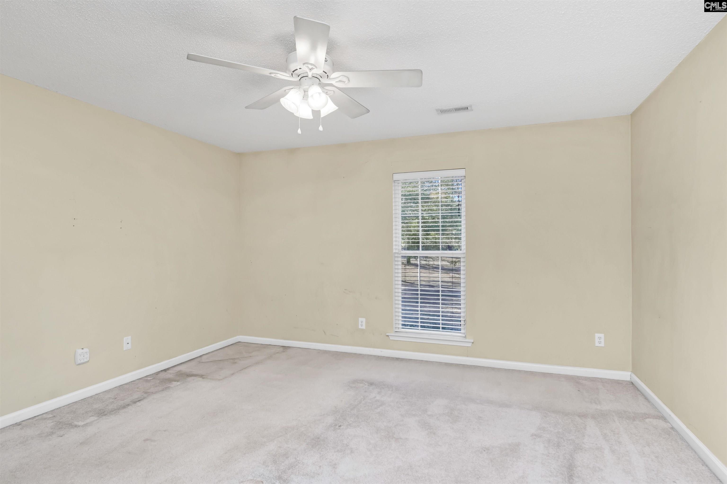137 Forts Pond Road, Pelion, South Carolina image 6