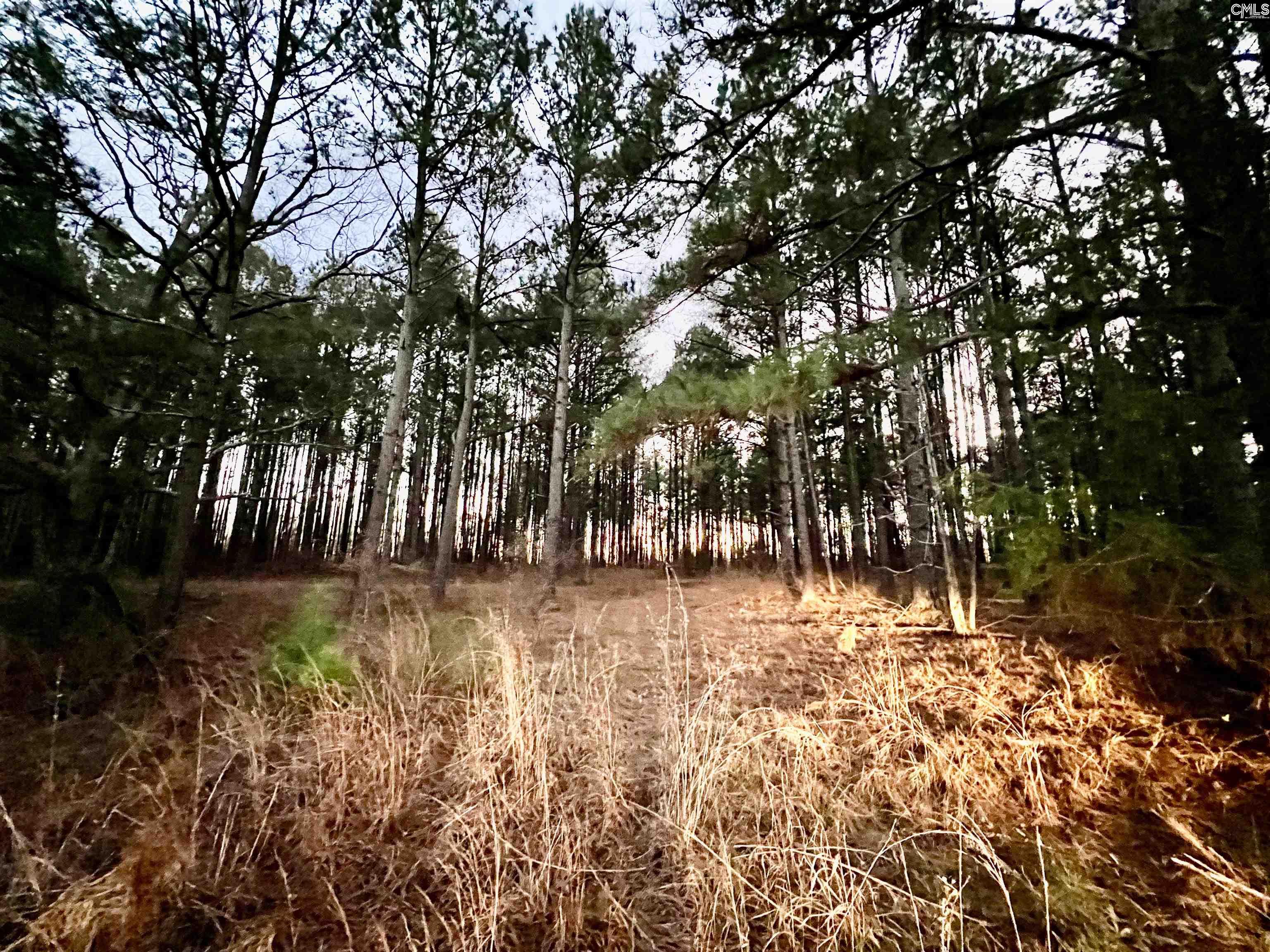 TBD Wateree Road, Great Falls, South Carolina image 2