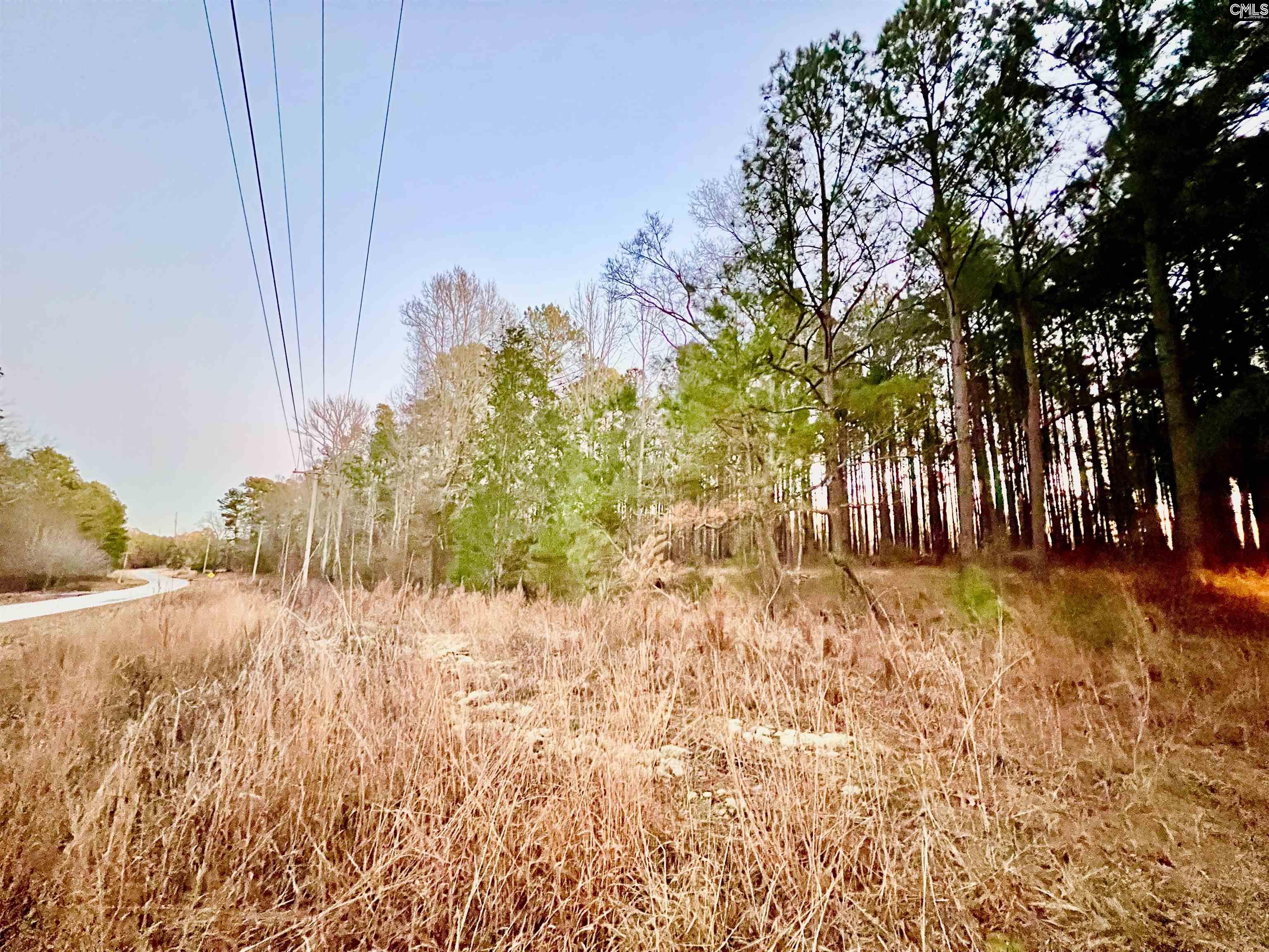 TBD Wateree Road, Great Falls, South Carolina image 3