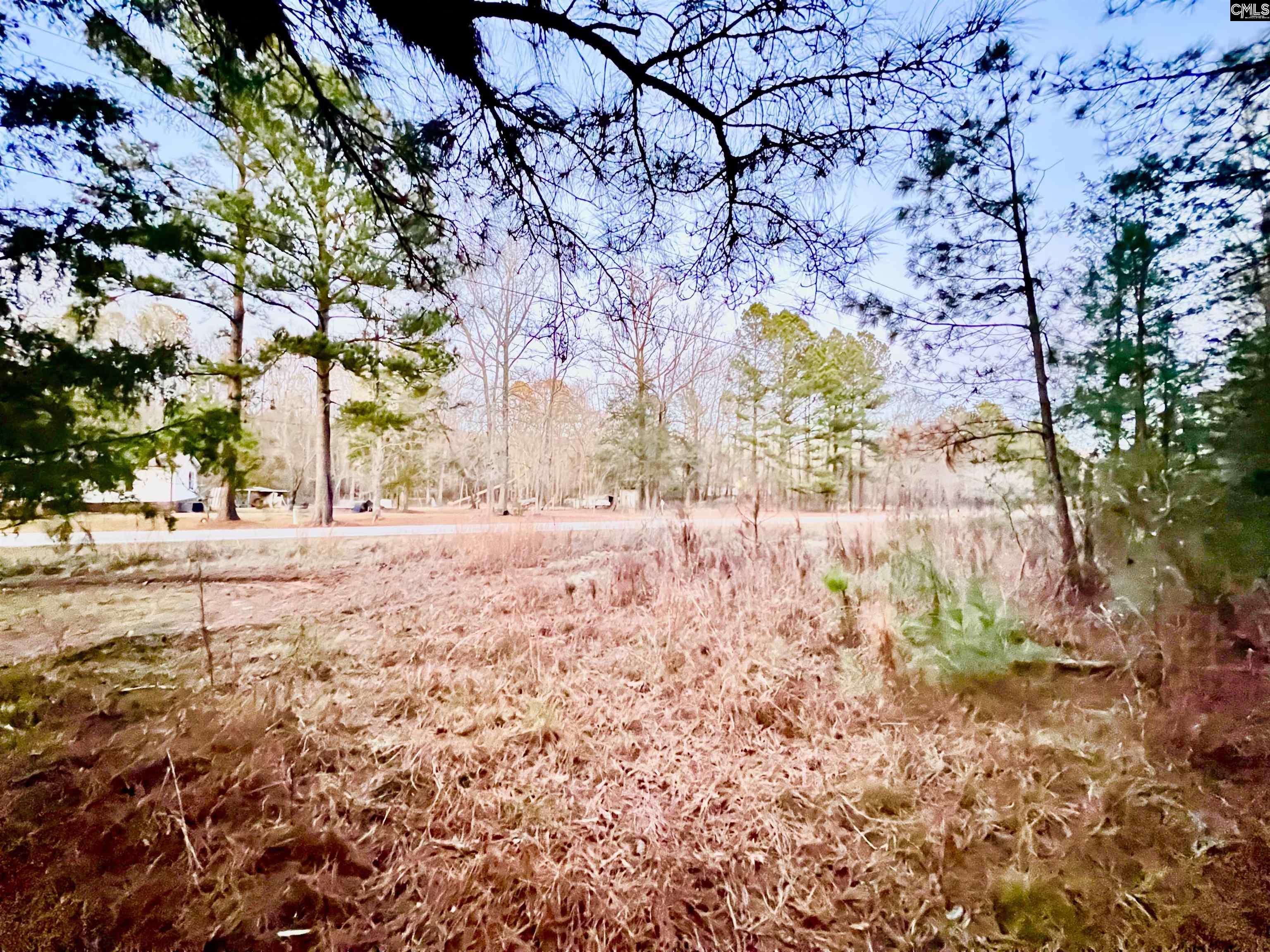 TBD Wateree Road, Great Falls, South Carolina image 5