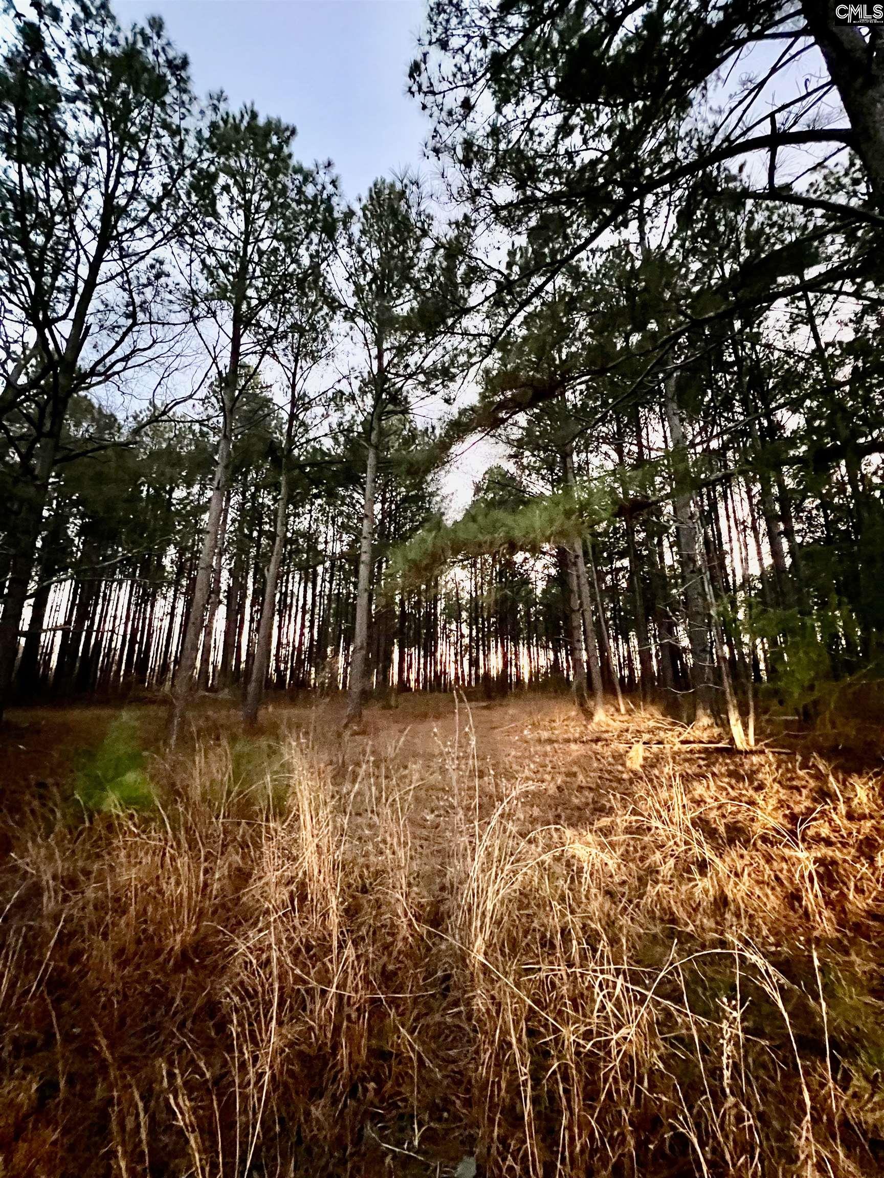 TBD Wateree Road, Great Falls, South Carolina image 7