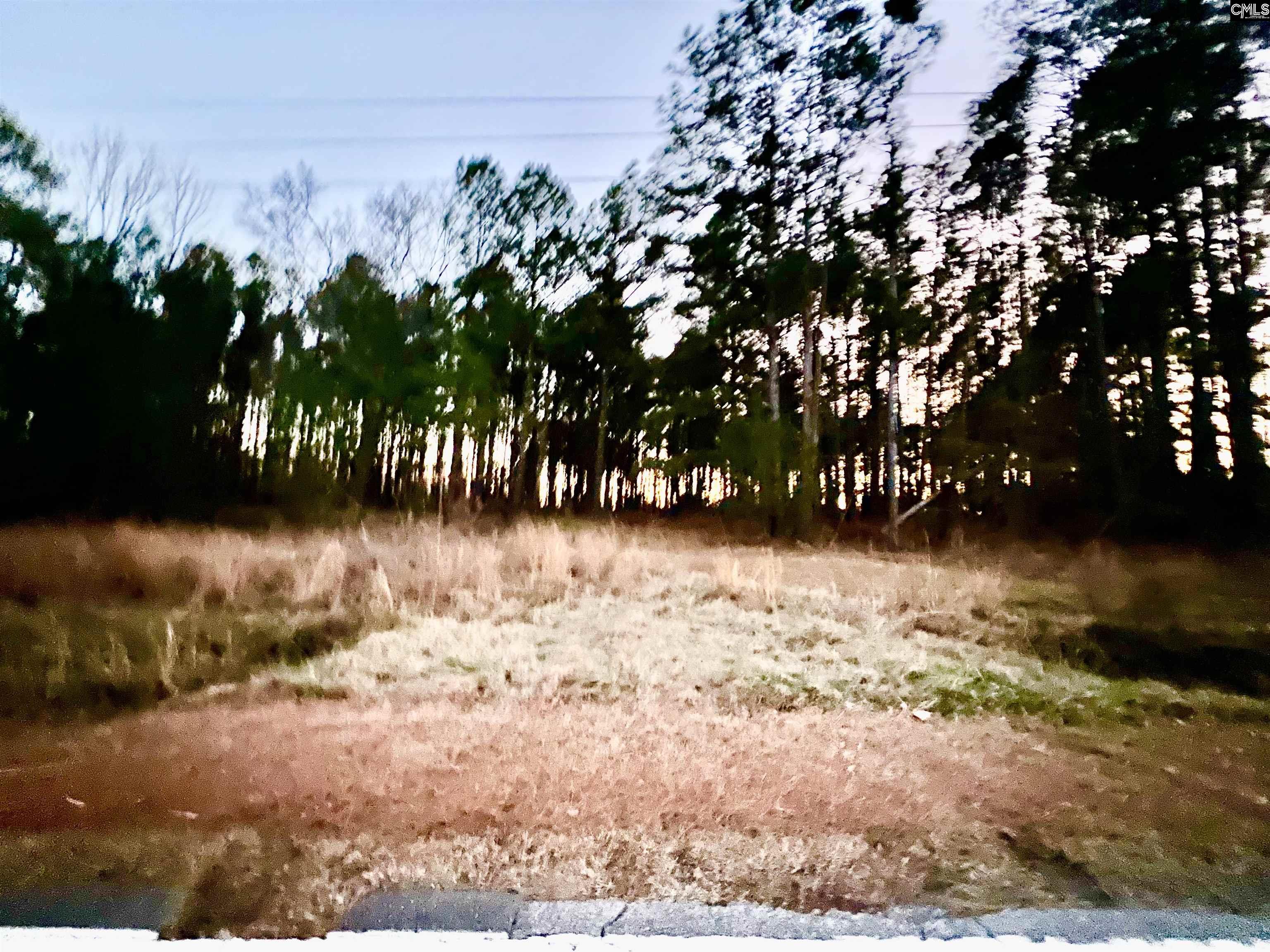 TBD Wateree Road, Great Falls, South Carolina image 8