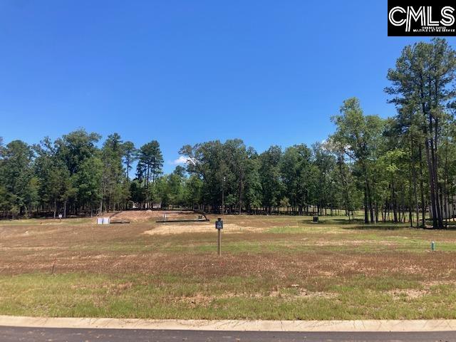 918 Salisbury Ct Chapin, SC 29036