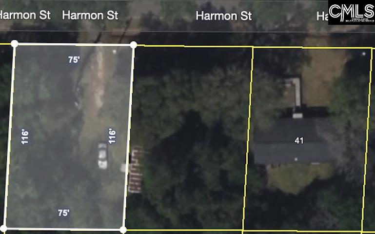 000 Harmon Street, Hemingway, South Carolina image 1