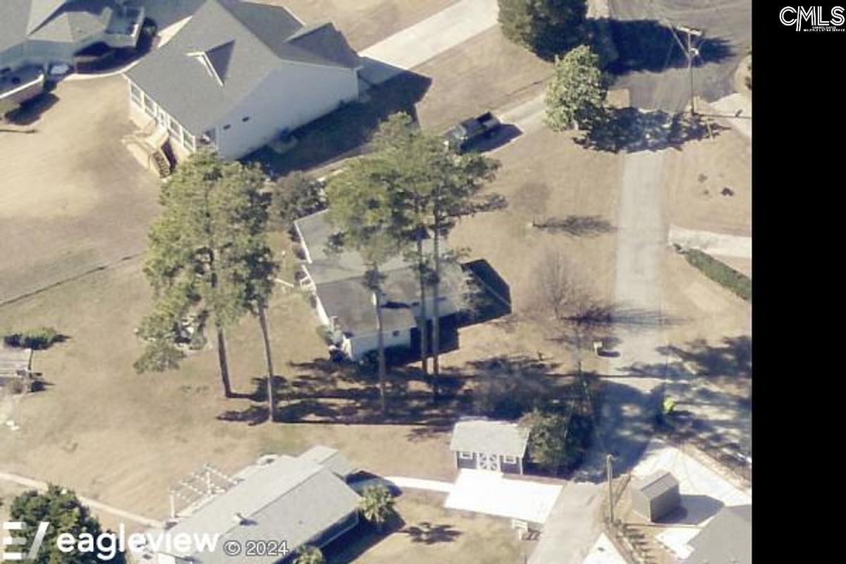 133 Williams Way, Chapin, South Carolina image 4