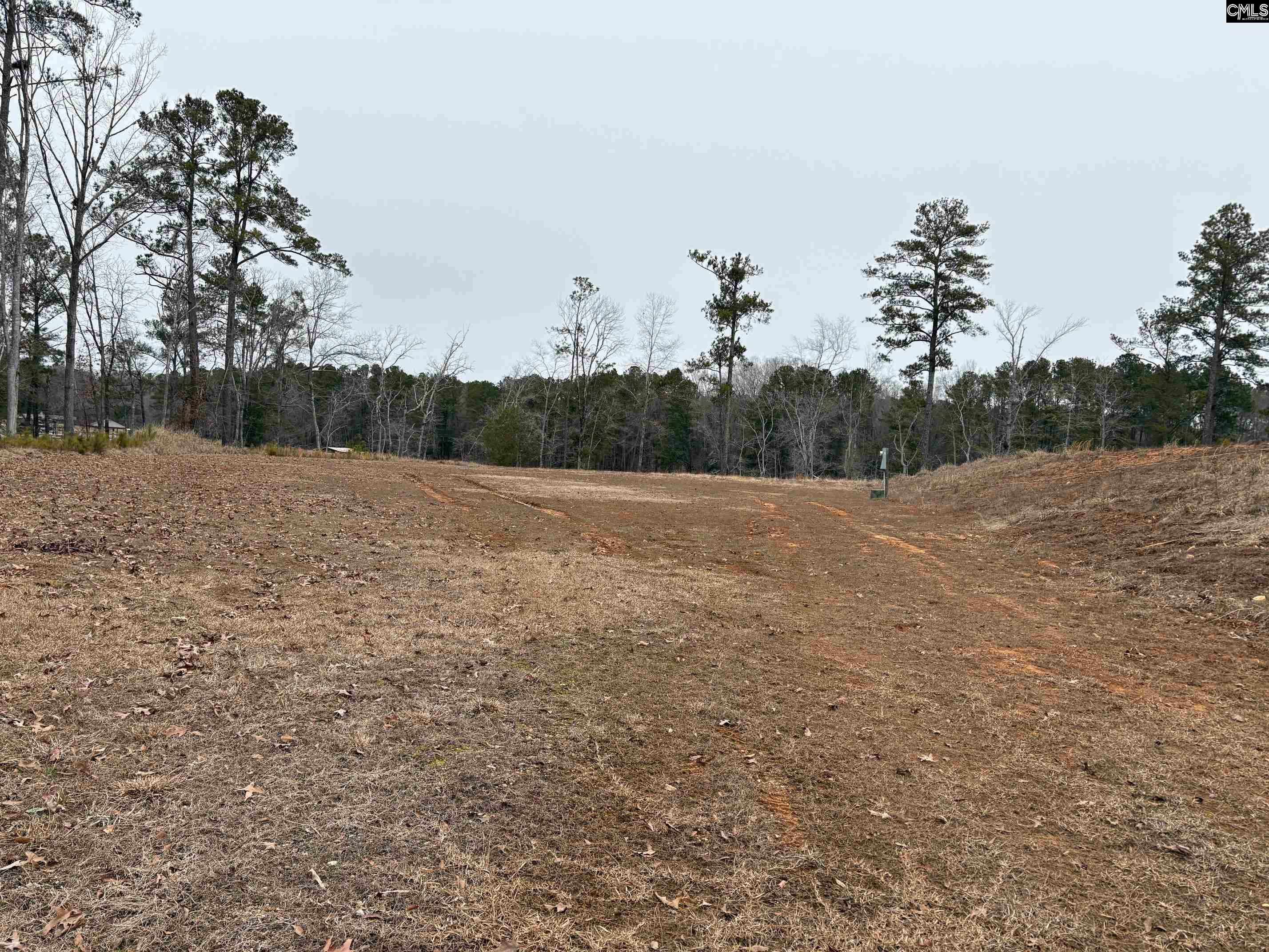 955 Retreat Way, Ridgeway, South Carolina image 2