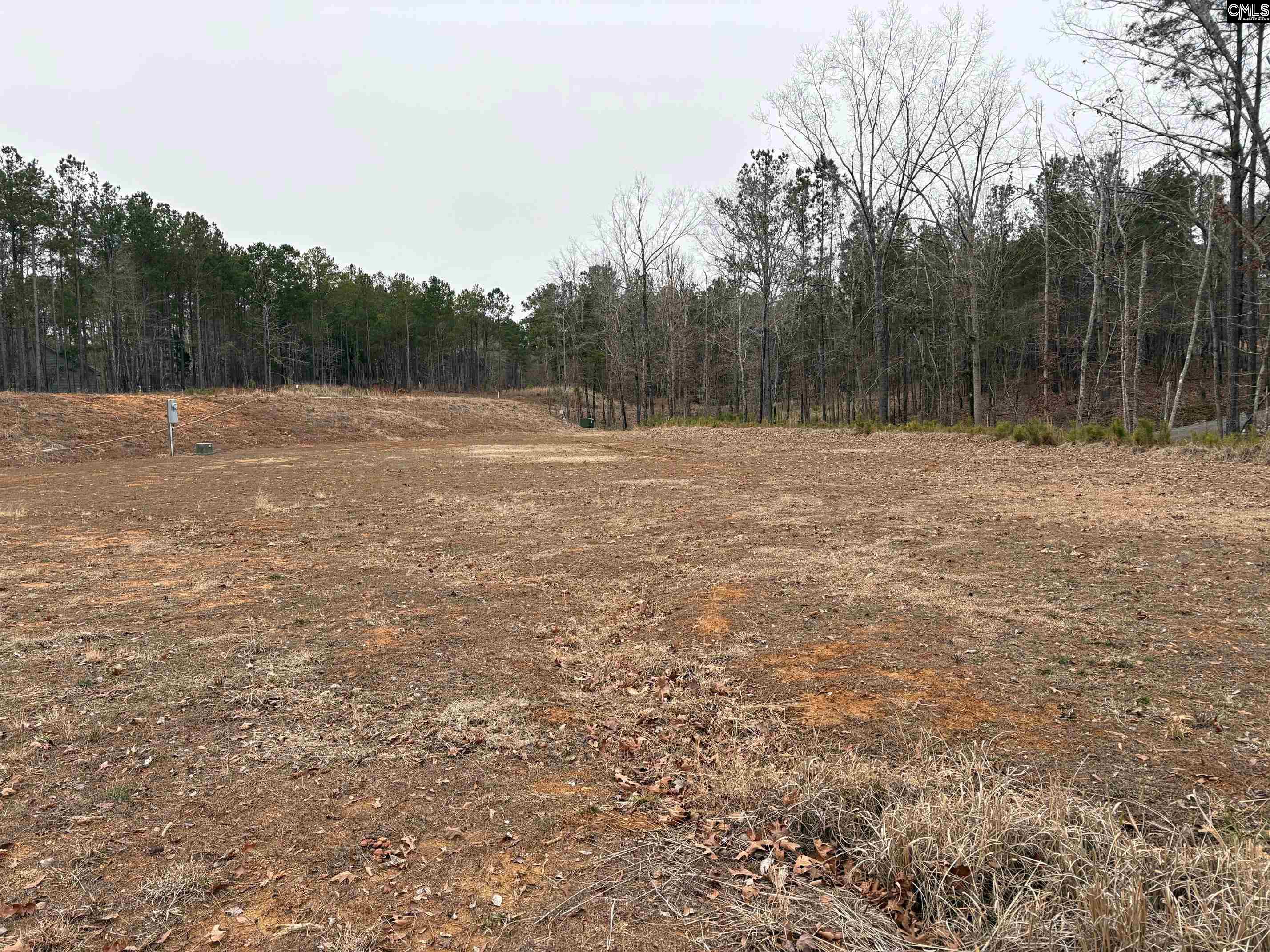 955 Retreat Way, Ridgeway, South Carolina image 3