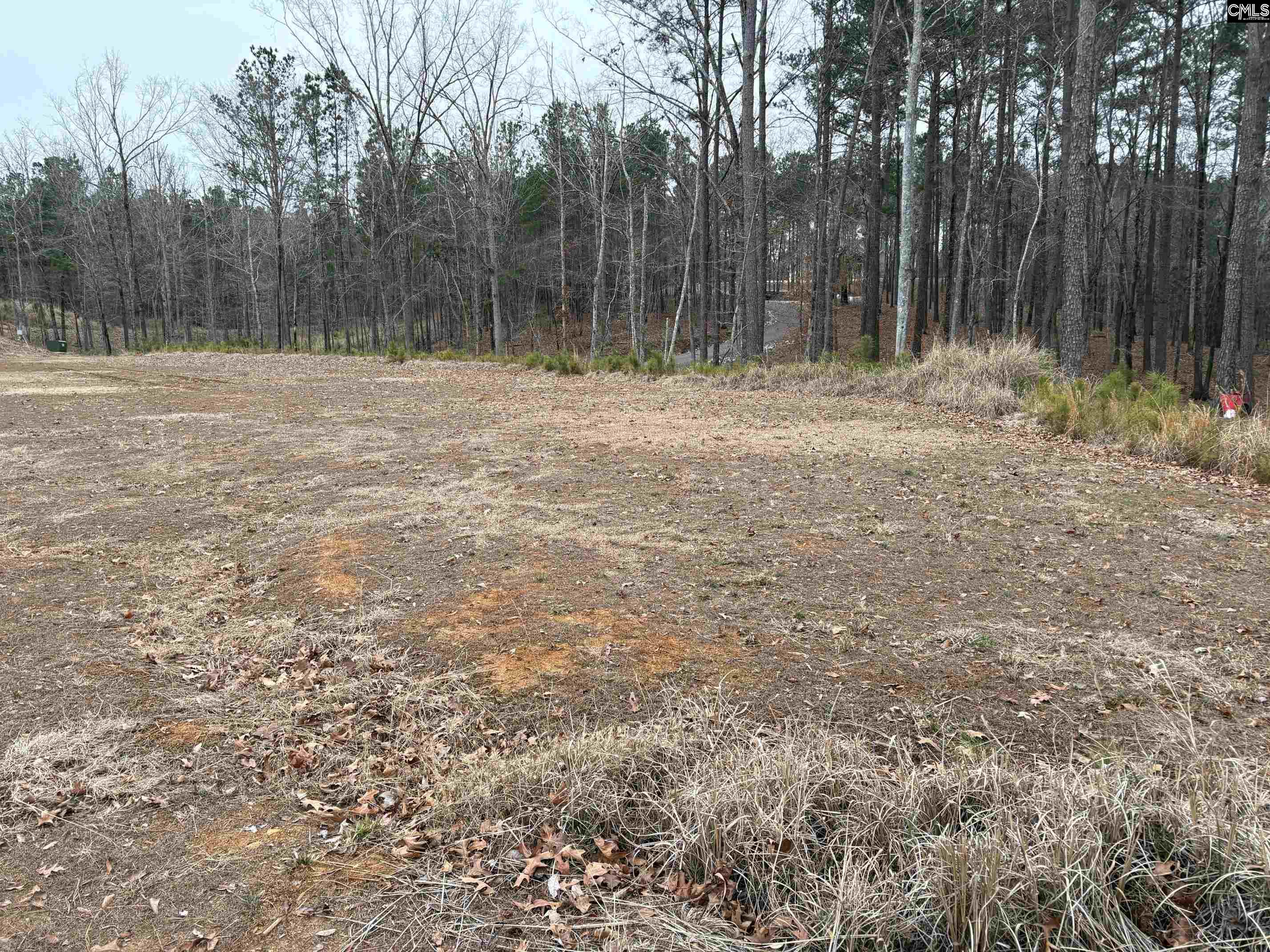 955 Retreat Way, Ridgeway, South Carolina image 4