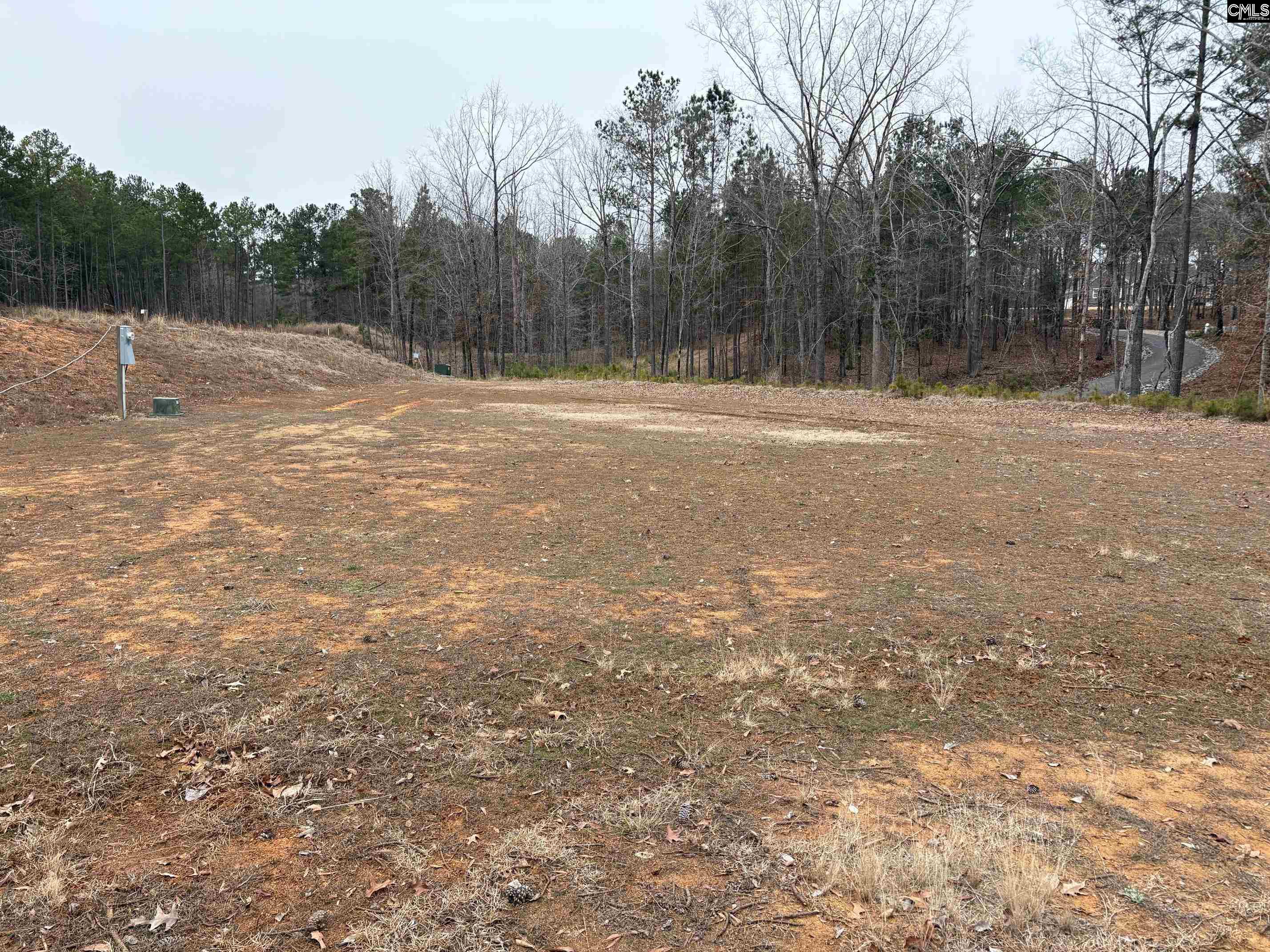 955 Retreat Way, Ridgeway, South Carolina image 5