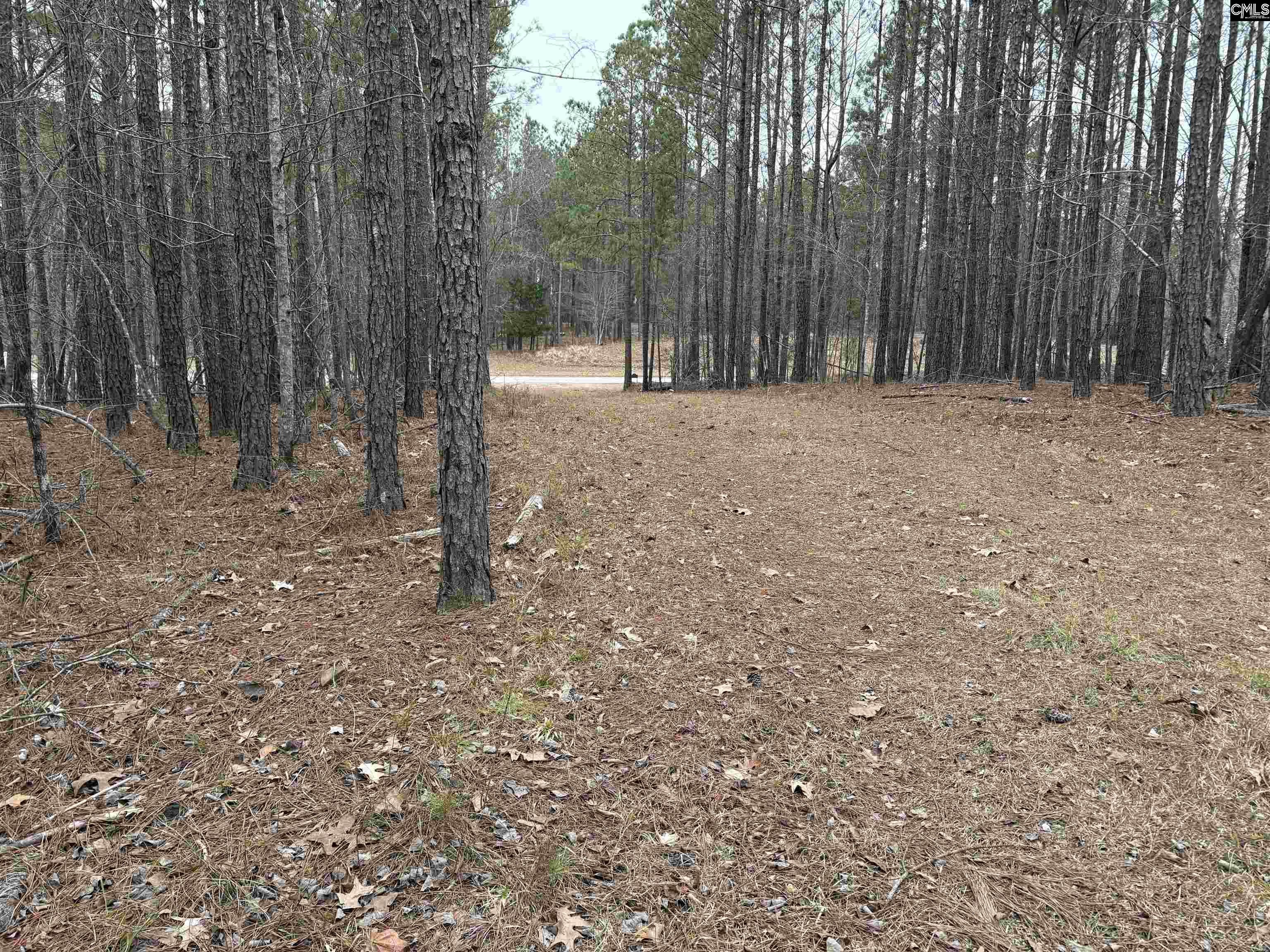 955 Retreat Way, Ridgeway, South Carolina image 6