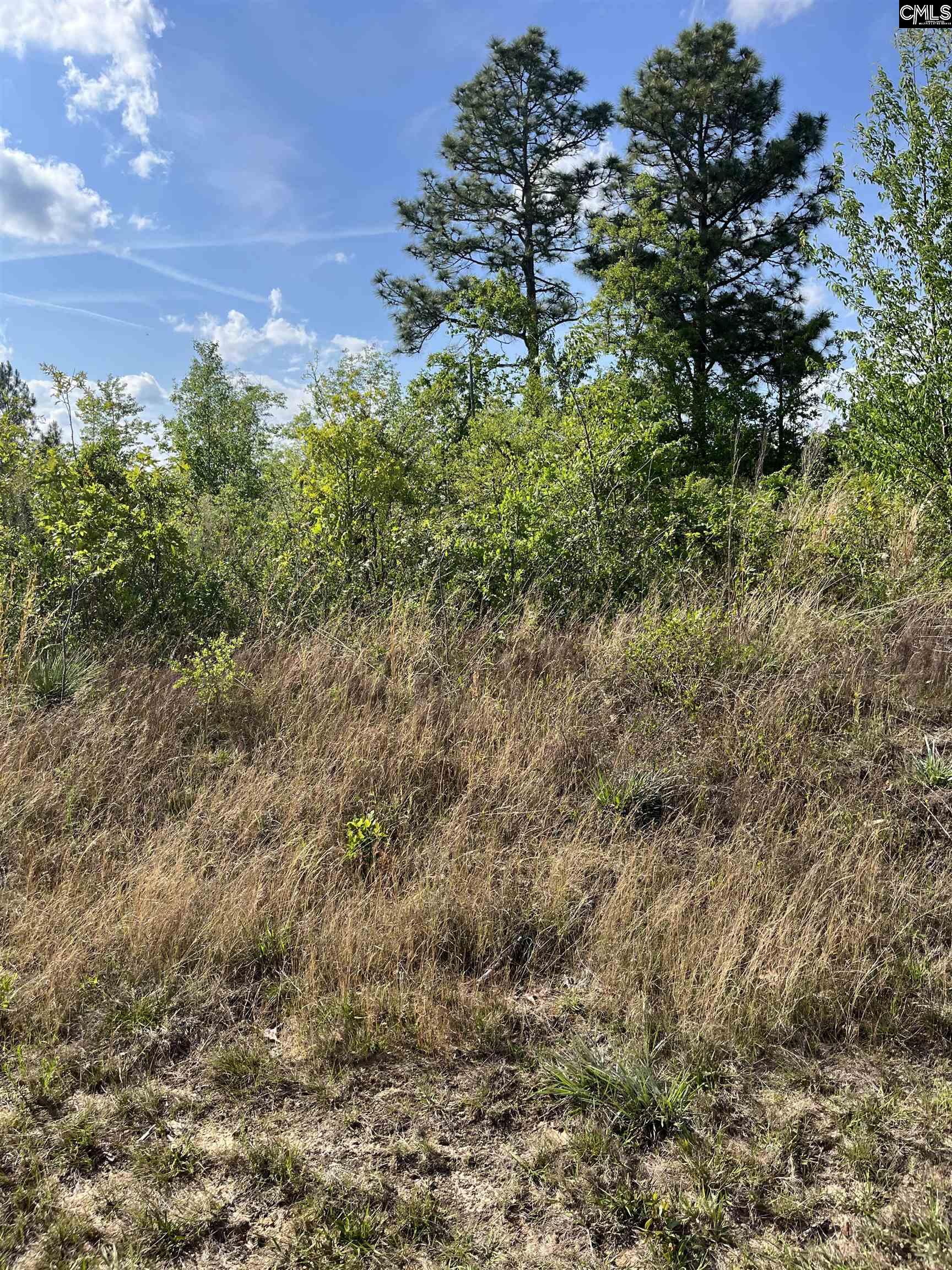 Cumbee Trail Road Monetta, SC 29105