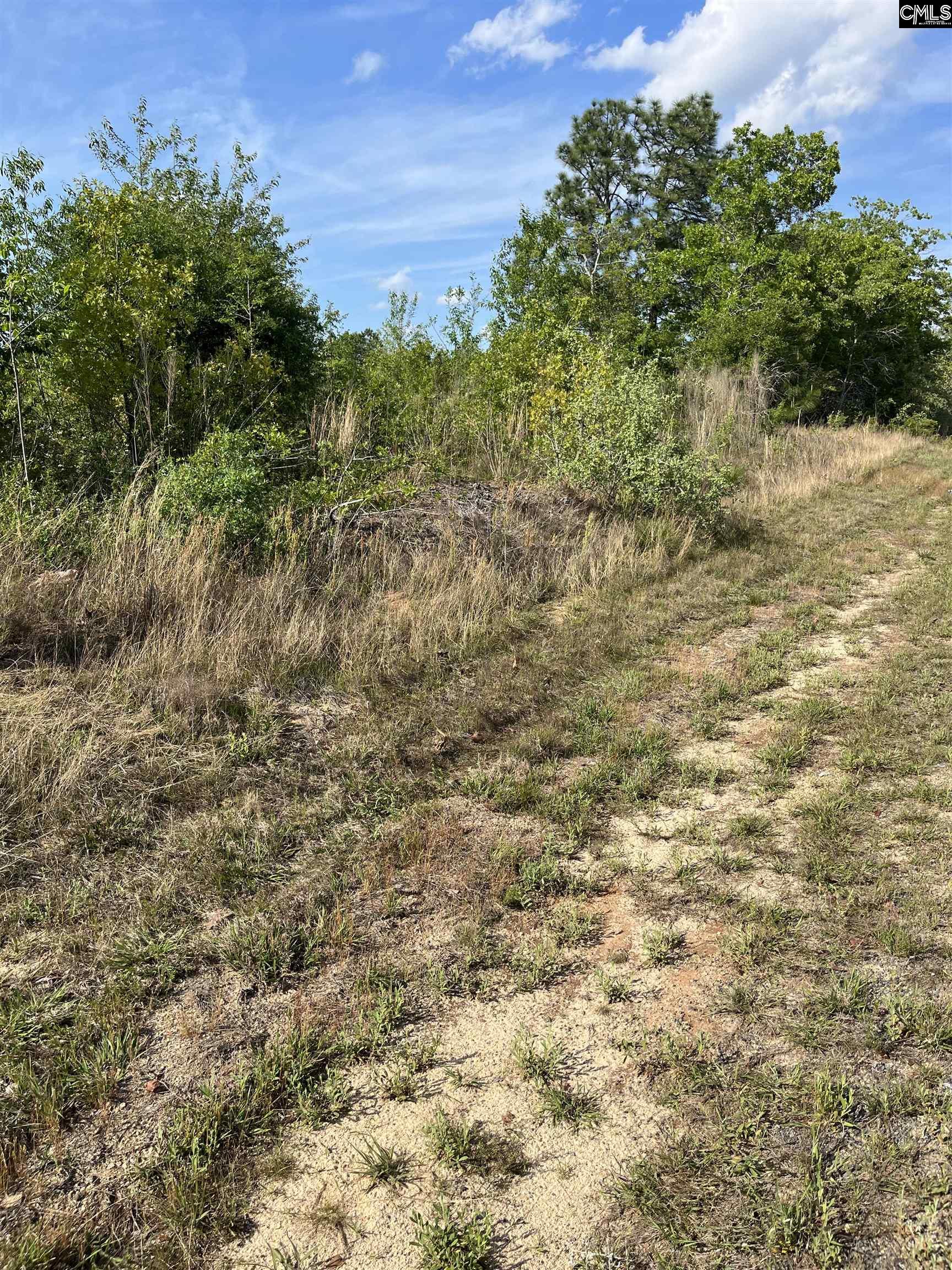 Cumbee Trail Road, Monetta, South Carolina image 6