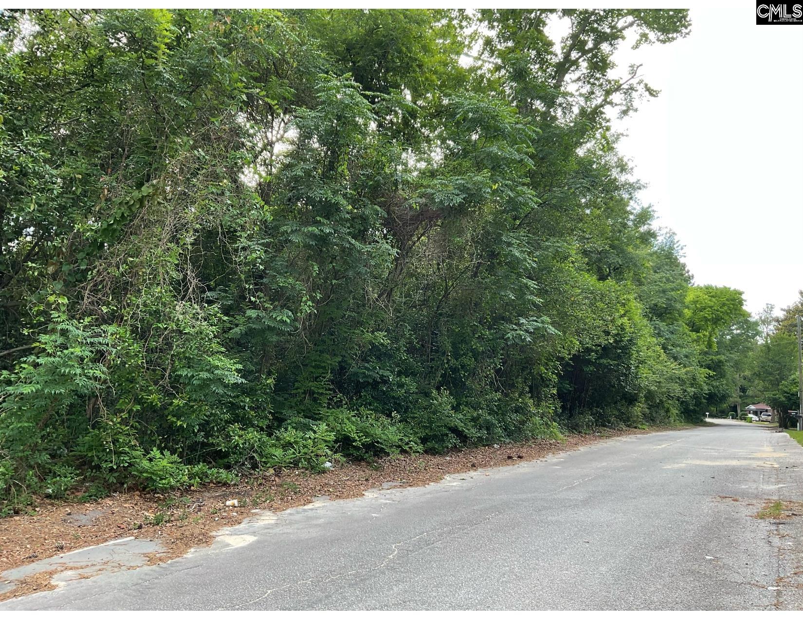 Lone Drive, Columbia, South Carolina image 2
