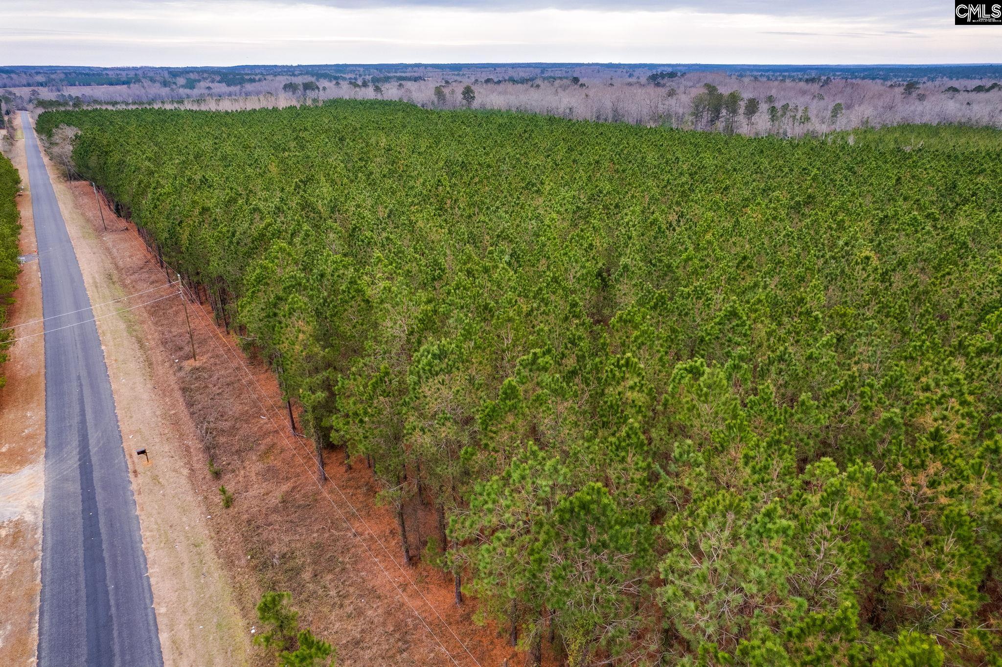 TBD Horses Neck Road Lot 3, Swansea, South Carolina image 9