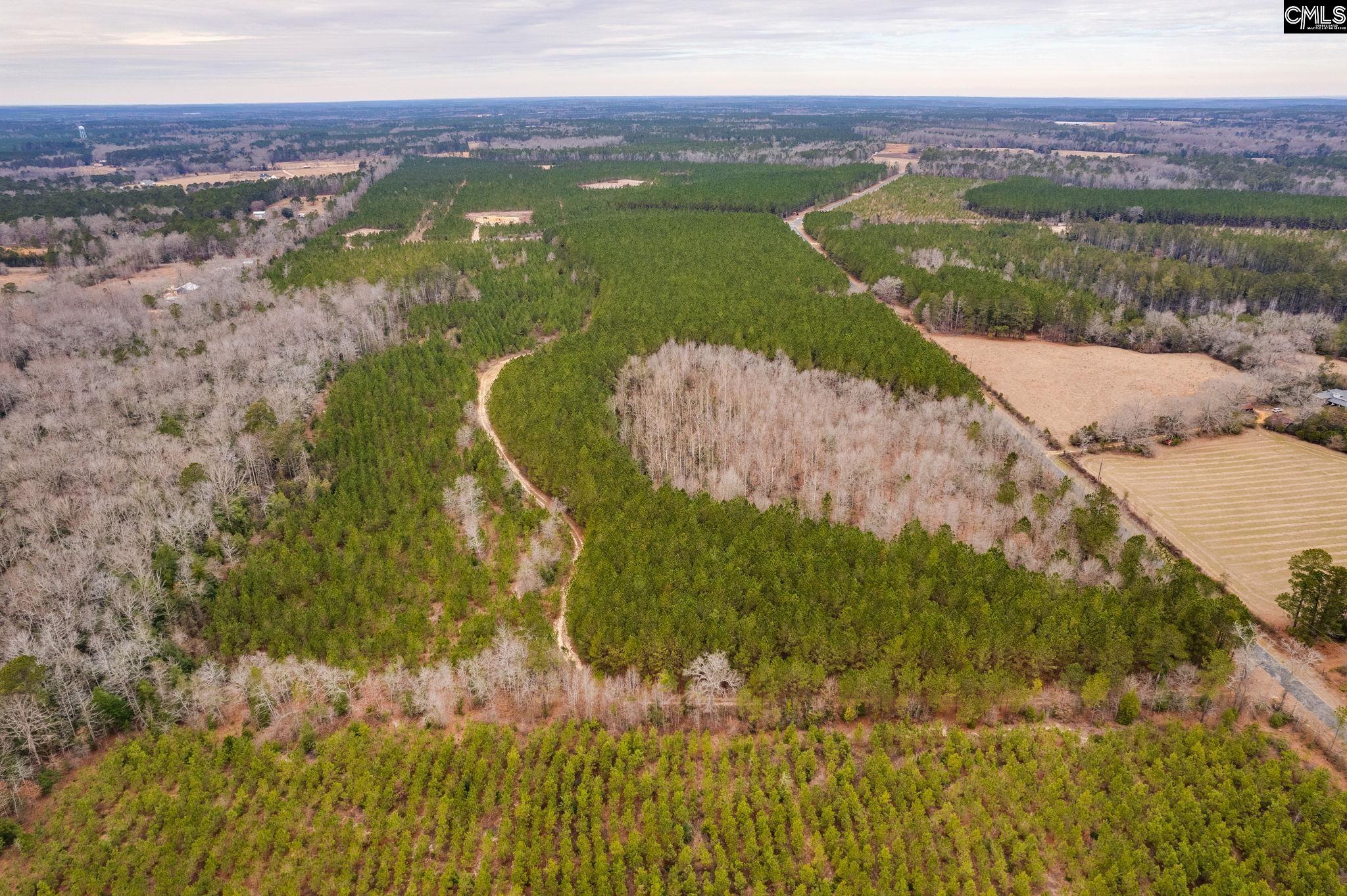 TBD Horses Neck Road Lot 4a, Swansea, South Carolina image 14