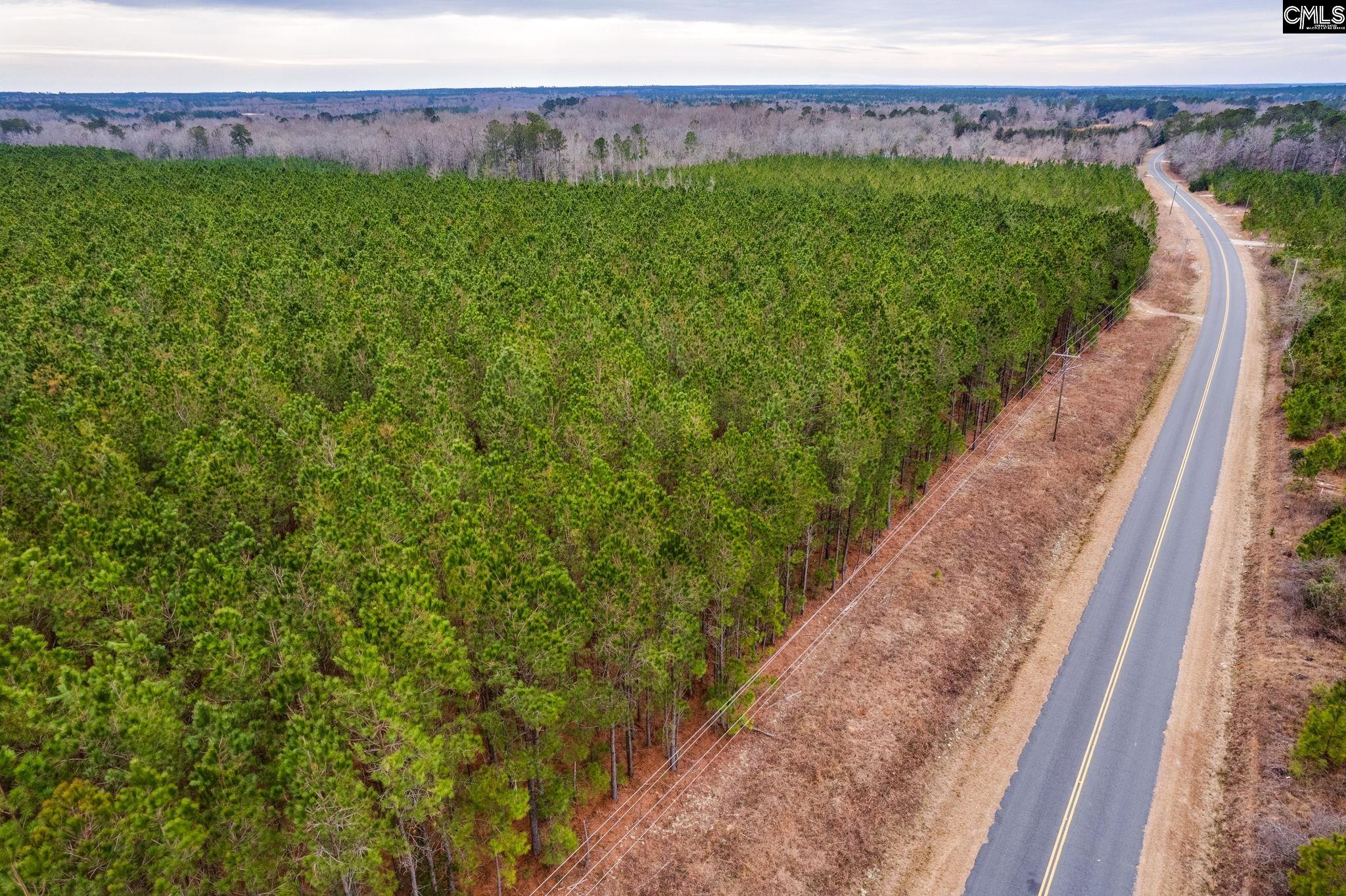 TBD Horses Neck Road Lot 4a, Swansea, South Carolina image 8