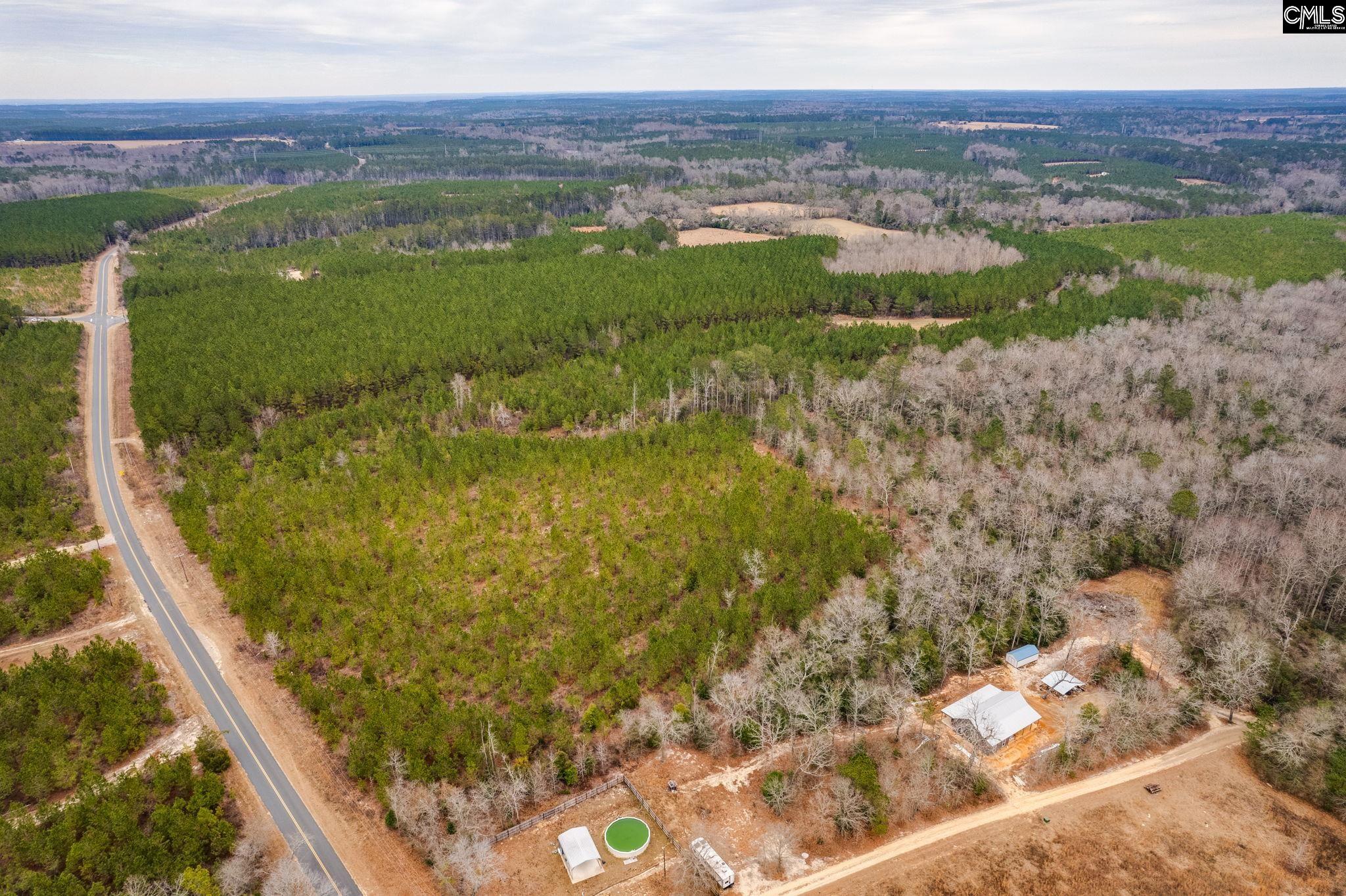 TBD Catalina Blvd Lot 7, Swansea, South Carolina image 10