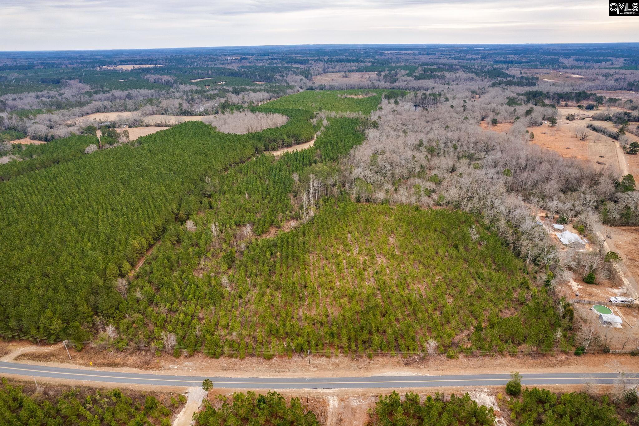 TBD Catalina Blvd Lot 7, Swansea, South Carolina image 11