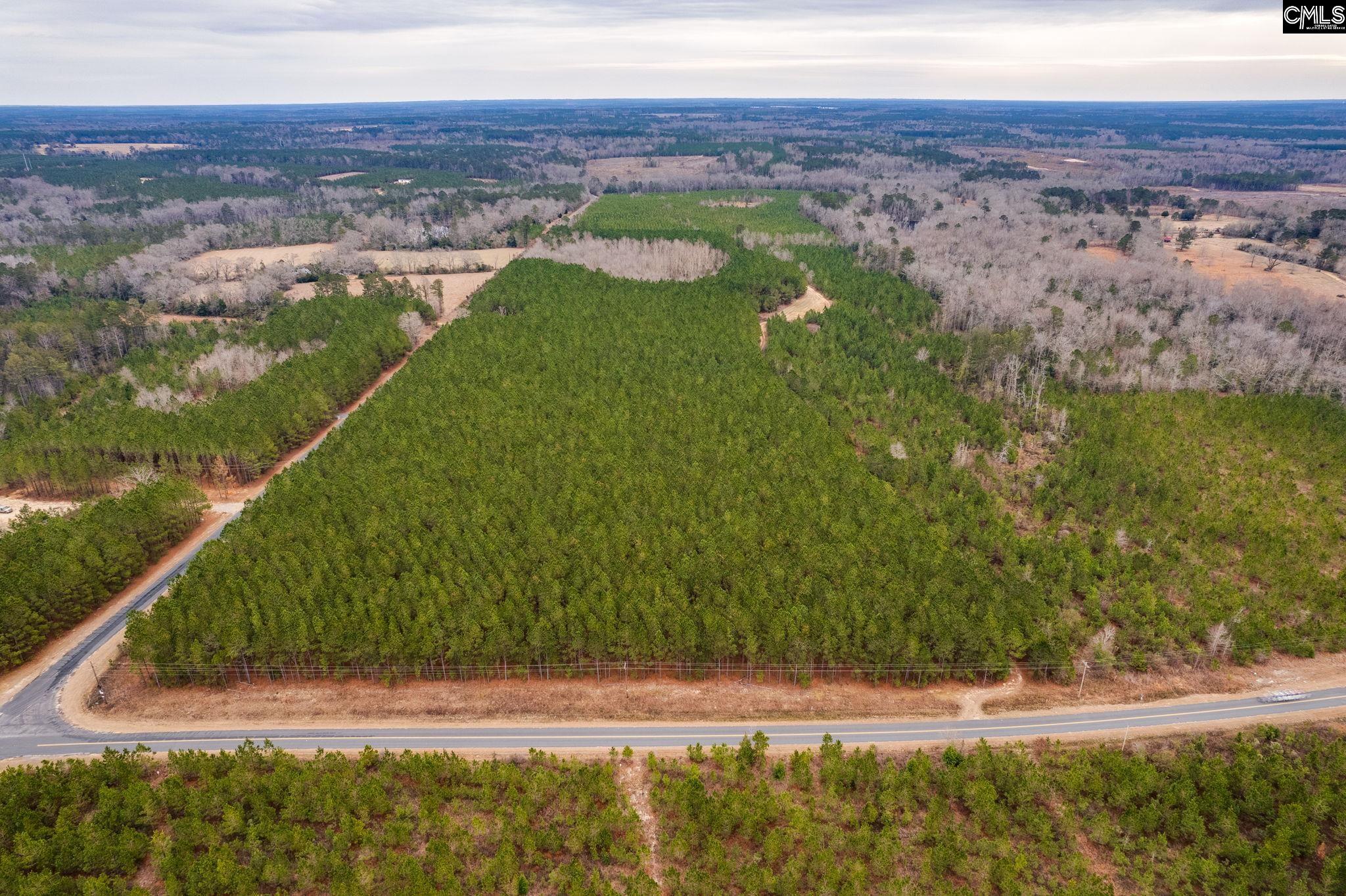 TBD Catalina Blvd Lot 7, Swansea, South Carolina image 12