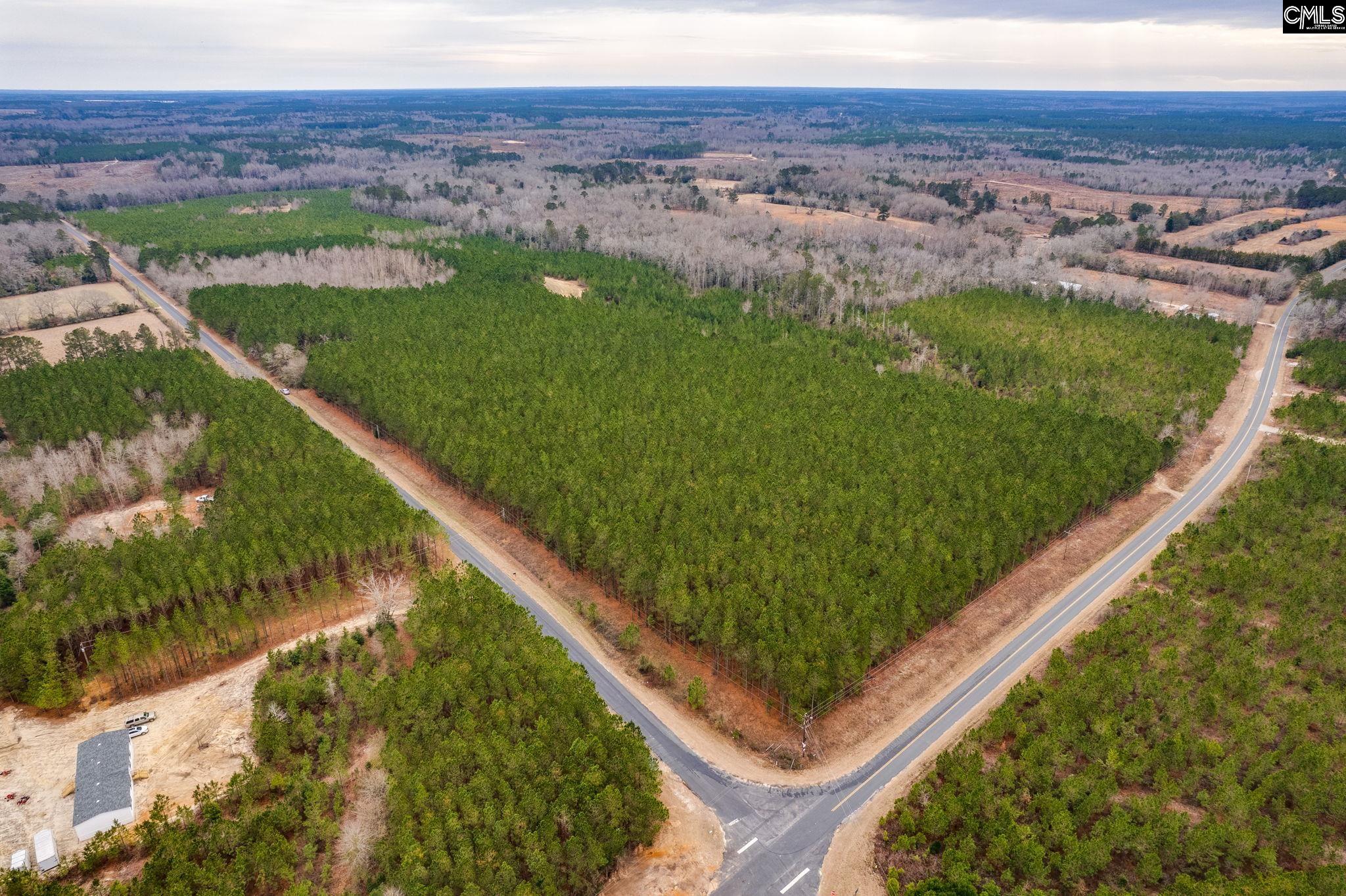 TBD Catalina Blvd Lot 7, Swansea, South Carolina image 2