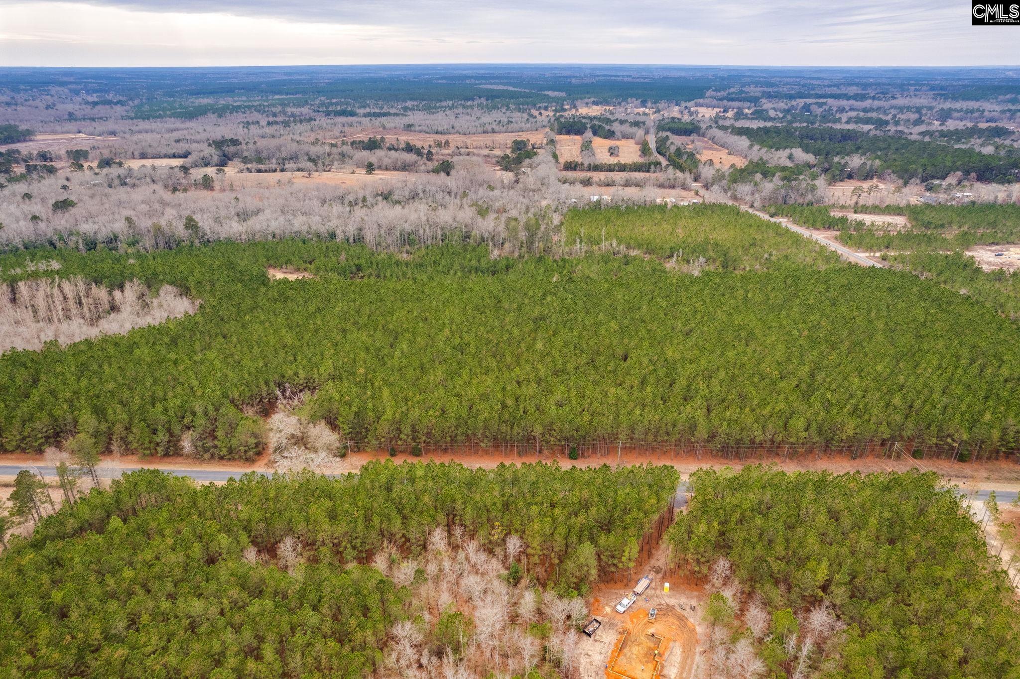 TBD Catalina Blvd Lot 7, Swansea, South Carolina image 3