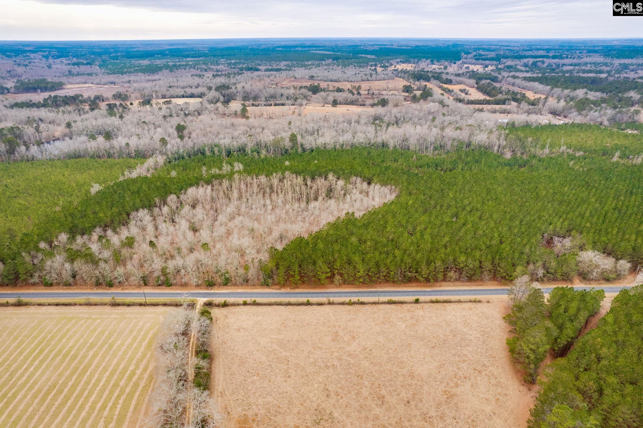 TBD Catalina Blvd Lot 7, Swansea, South Carolina image 4