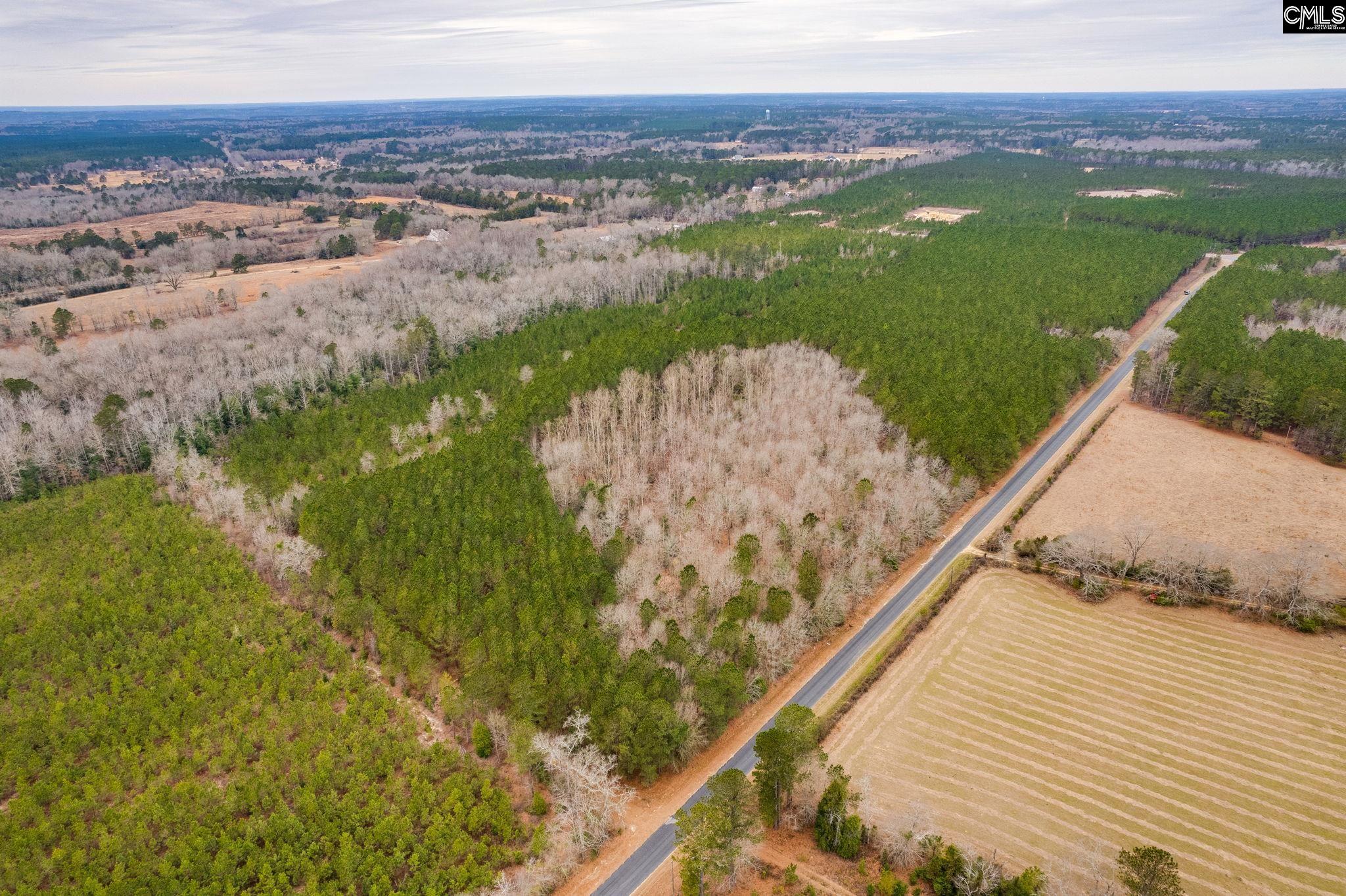 TBD Catalina Blvd Lot 7, Swansea, South Carolina image 5