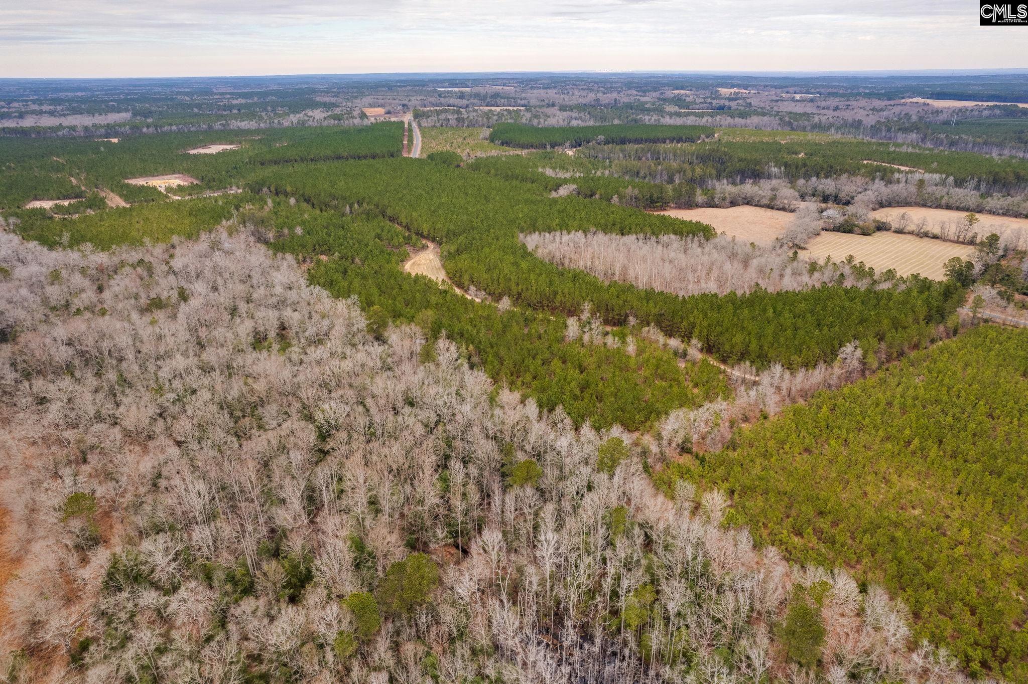 TBD Catalina Blvd Lot 7, Swansea, South Carolina image 7