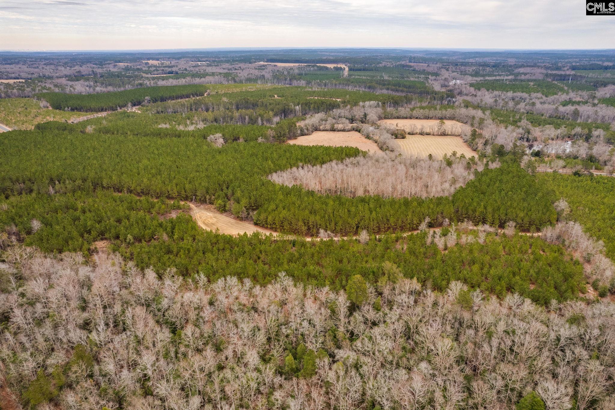 TBD Catalina Blvd Lot 7, Swansea, South Carolina image 8