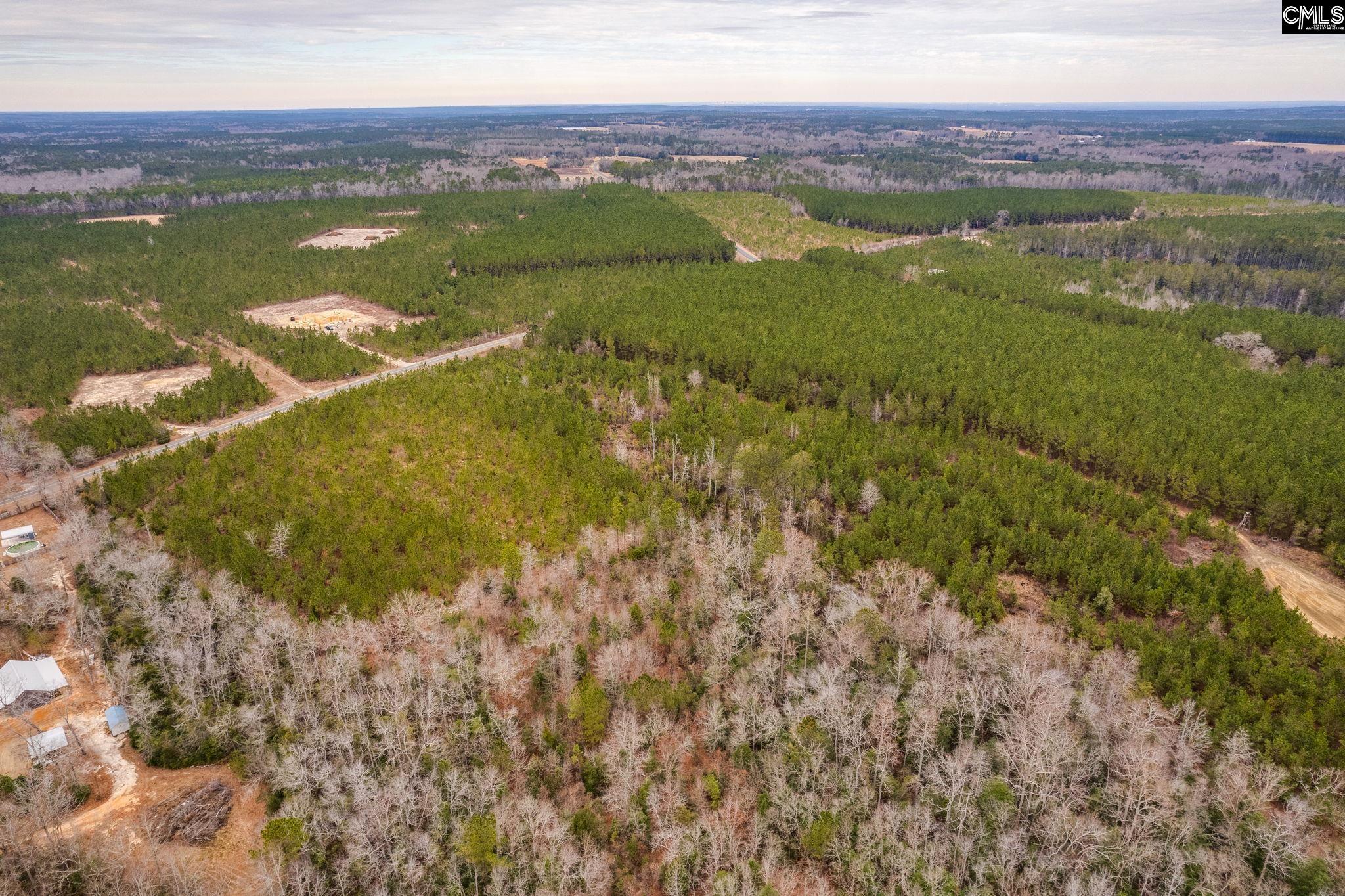 TBD Catalina Blvd Lot 7, Swansea, South Carolina image 9
