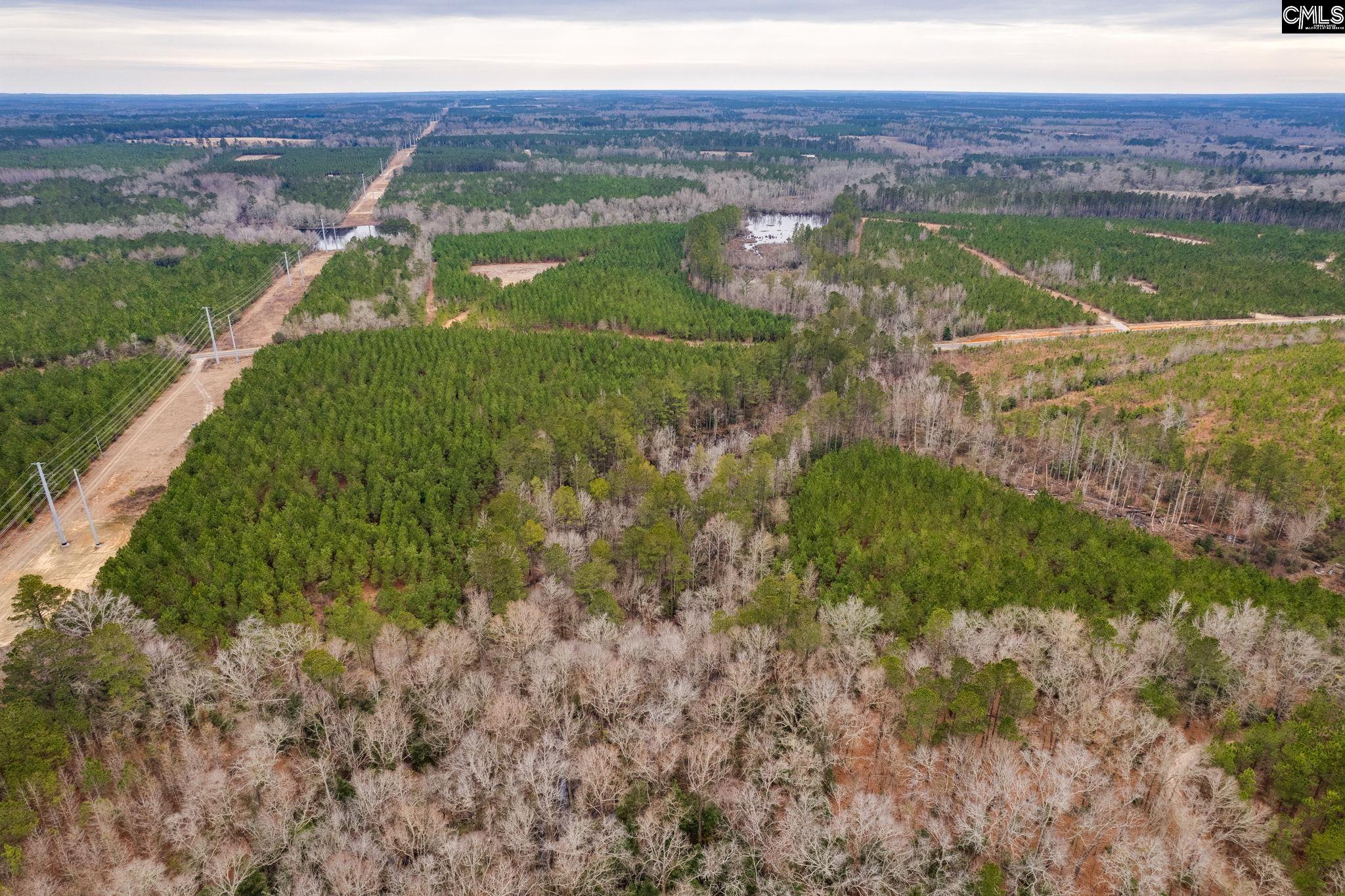 TBD Horses Neck Road Lot 8b, Swansea, South Carolina image 14