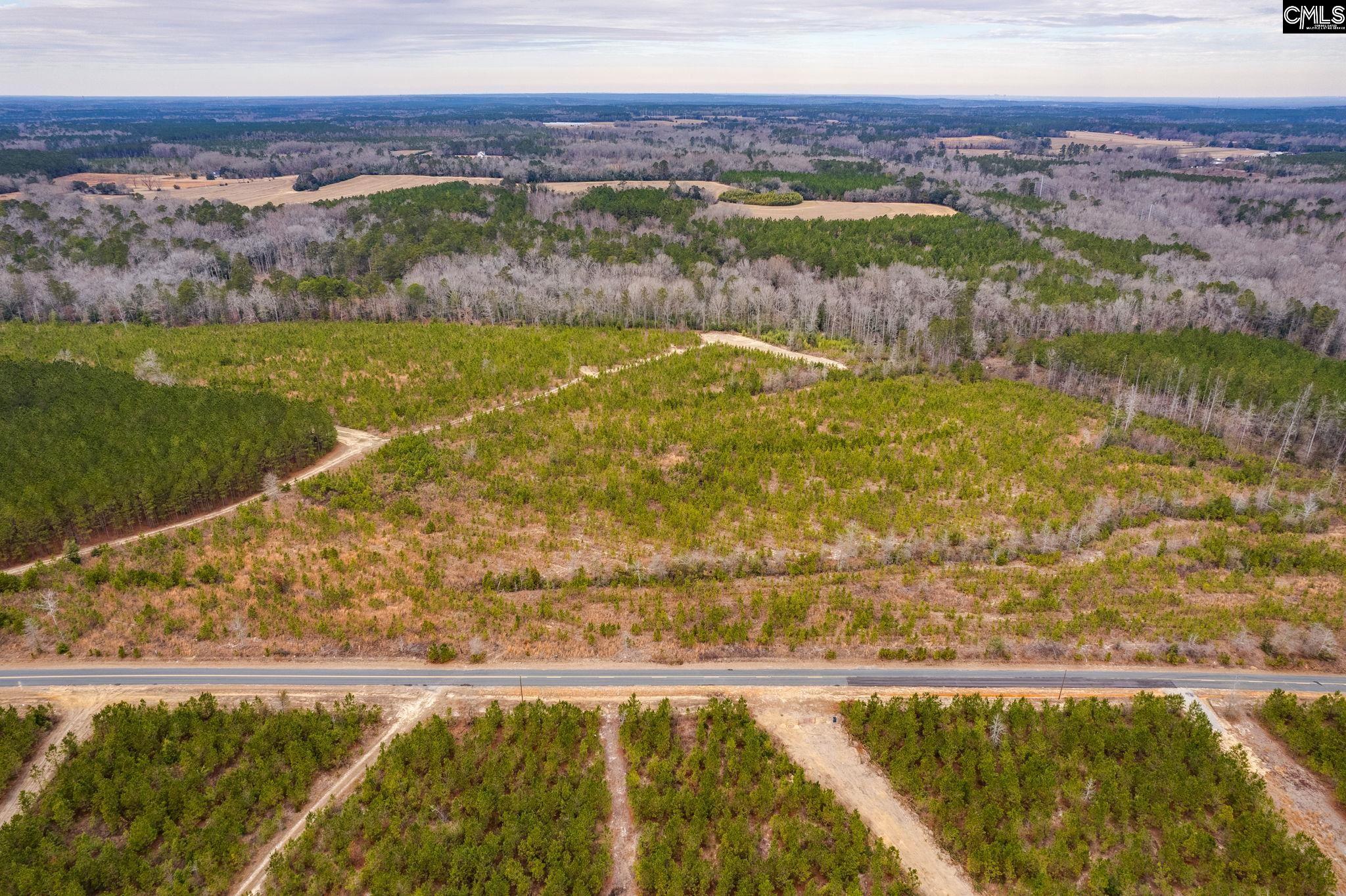 TBD Horses Neck Road Lot 8a, Swansea, South Carolina image 4