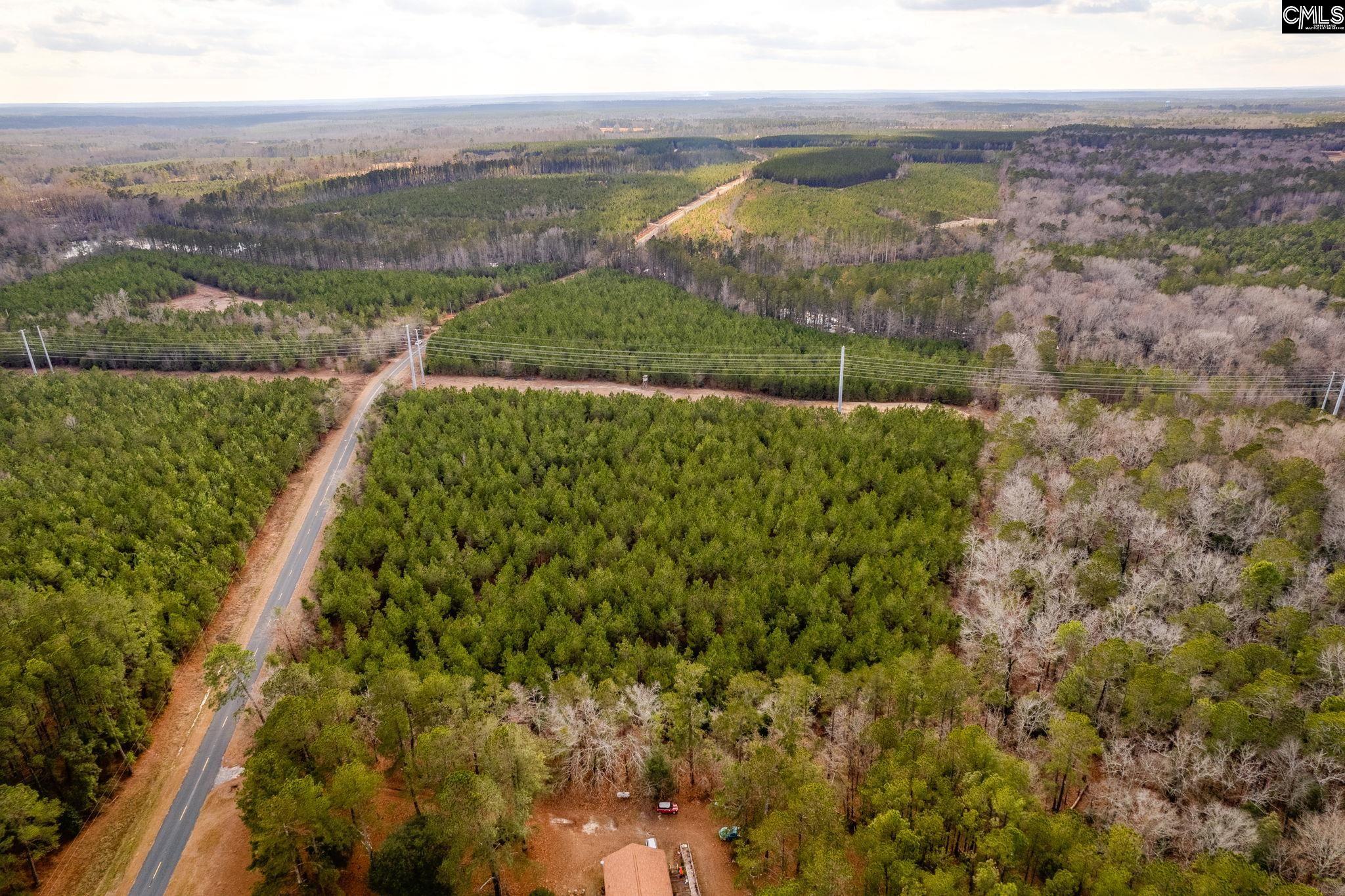 TBD Horses Neck Road Lot 9b, Swansea, South Carolina image 10