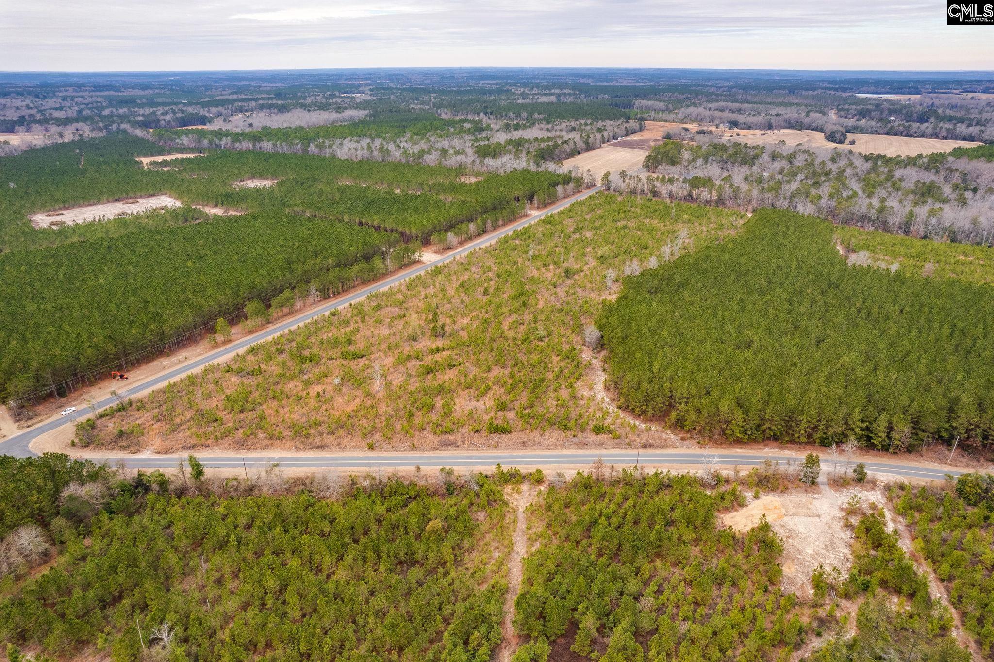 TBD Catalina Blvd Lot 12, Swansea, South Carolina image 3