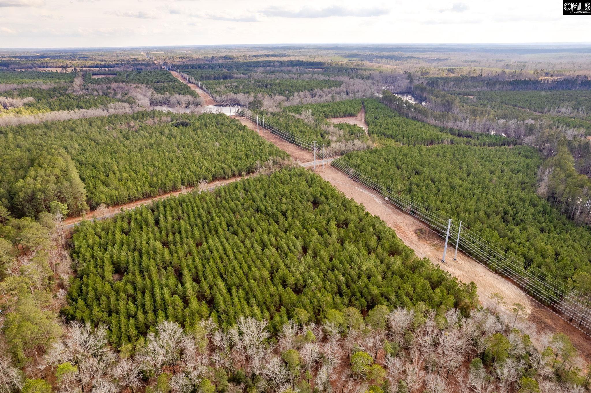 TBD Catalina Blvd Lot 16, Swansea, South Carolina image 12