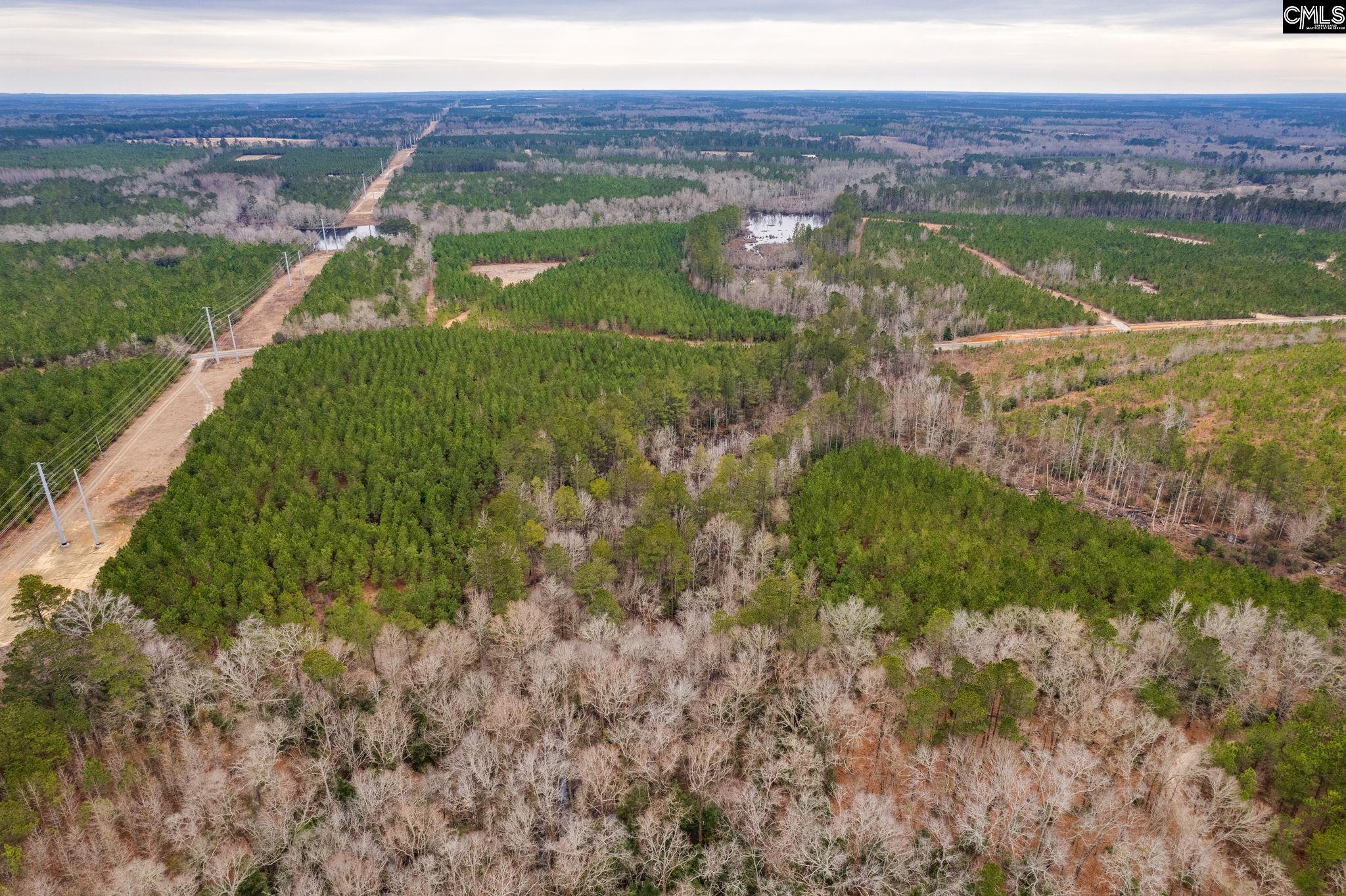TBD Catalina Blvd Lot 16, Swansea, South Carolina image 14