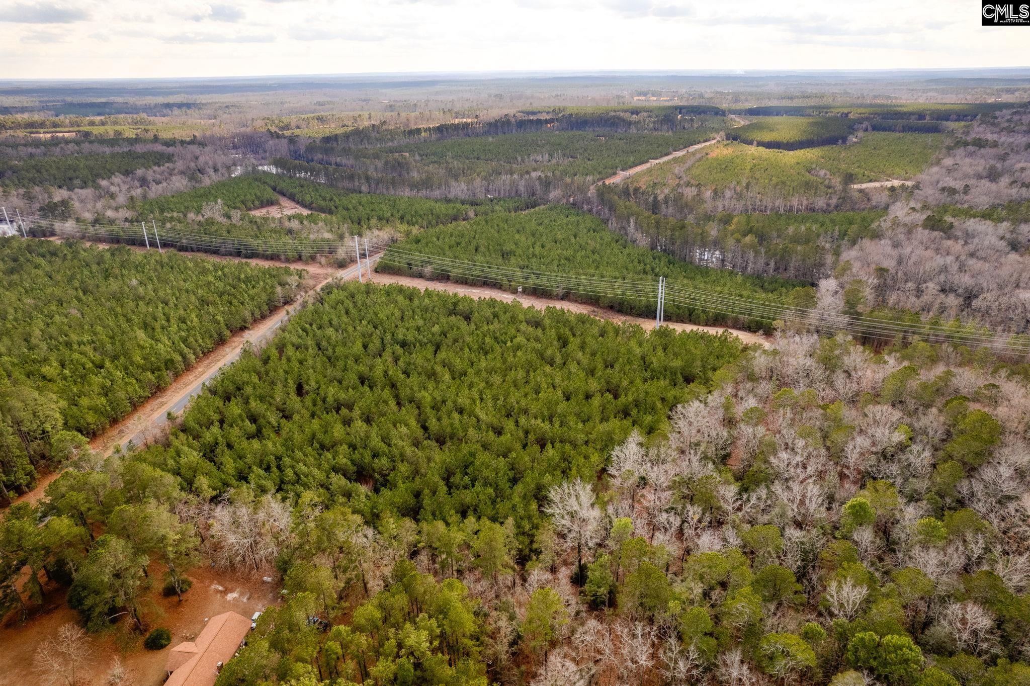 TBD Catalina Blvd Lot 17, Swansea, South Carolina image 11
