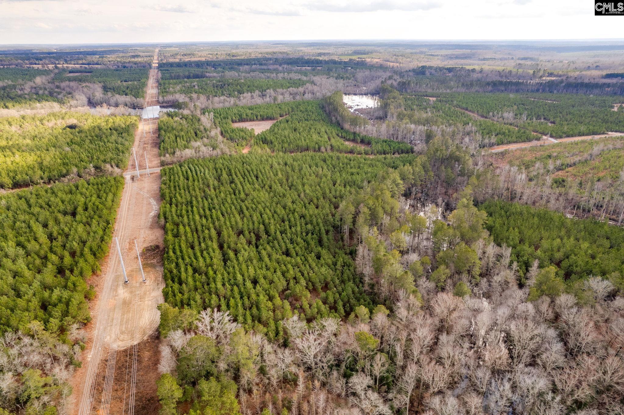 TBD Catalina Blvd Lot 17, Swansea, South Carolina image 13