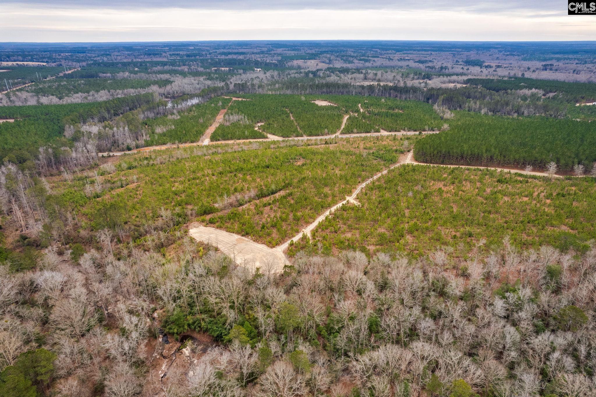 TBD Catalina Blvd Lot 17, Swansea, South Carolina image 15