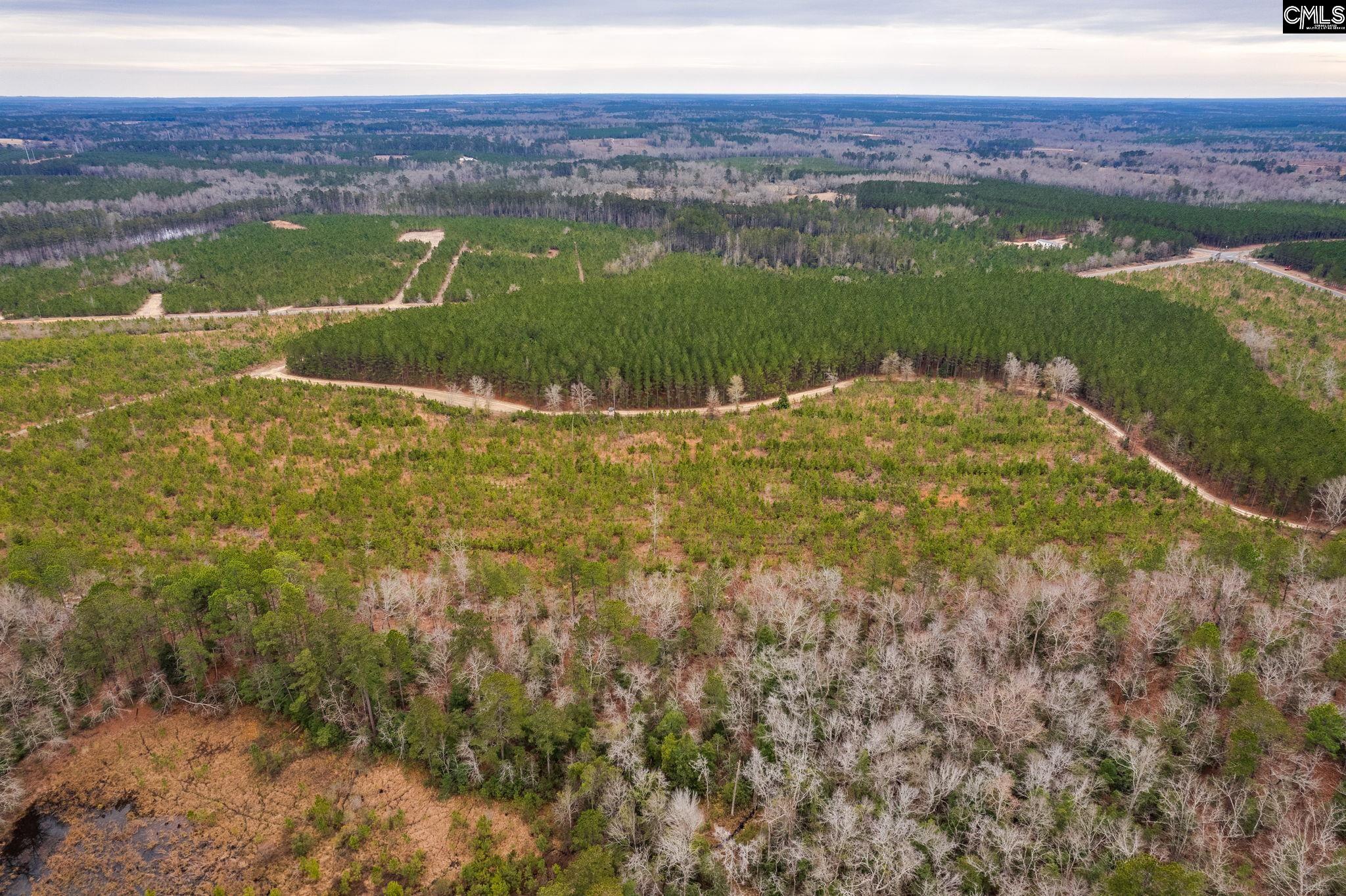 TBD Catalina Blvd Lot 17, Swansea, South Carolina image 16
