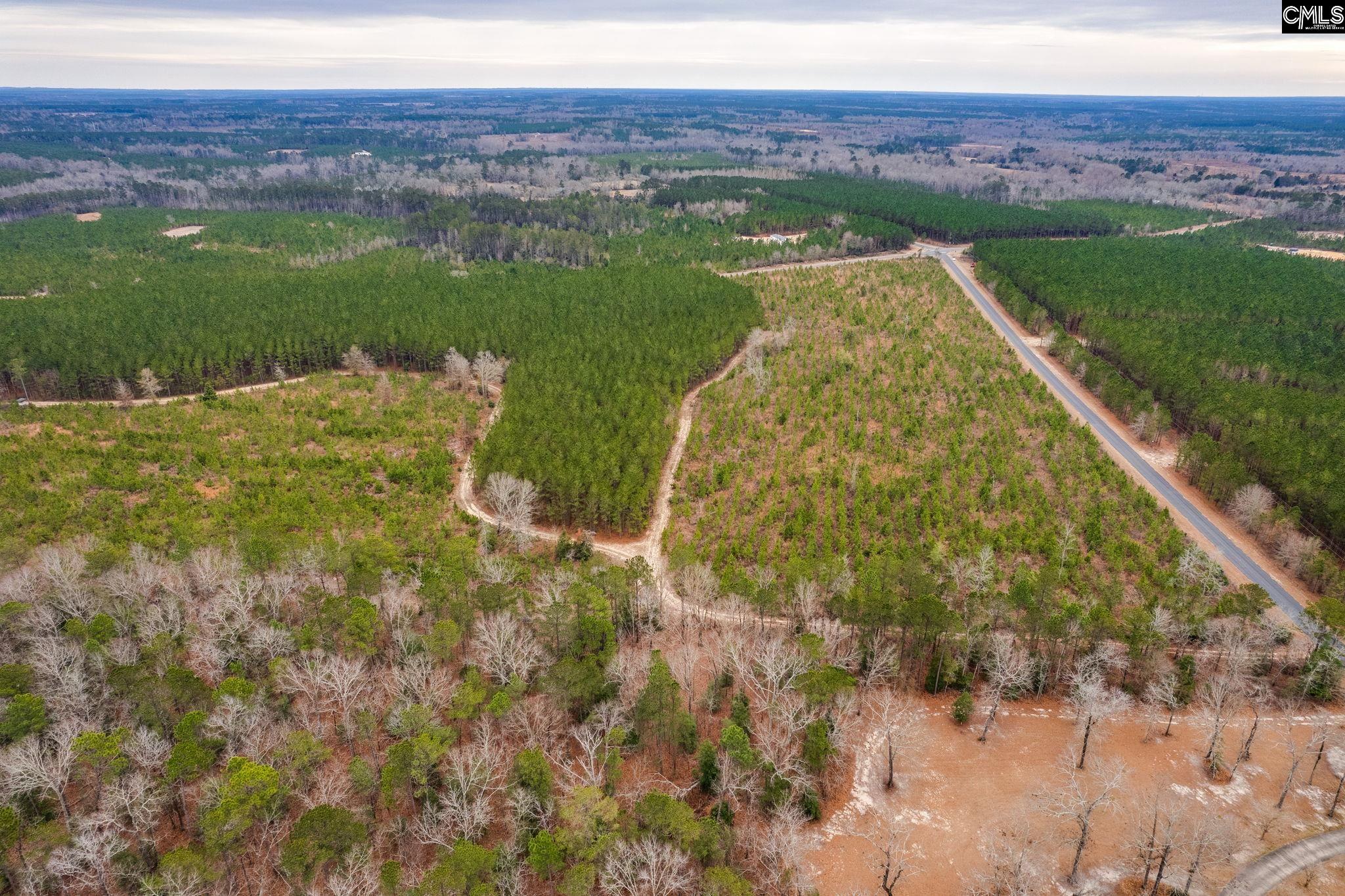 TBD Catalina Blvd Lot 17, Swansea, South Carolina image 17