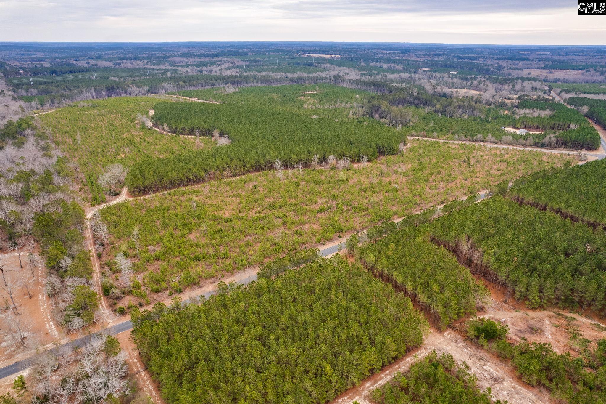 TBD Catalina Blvd Lot 17, Swansea, South Carolina image 18