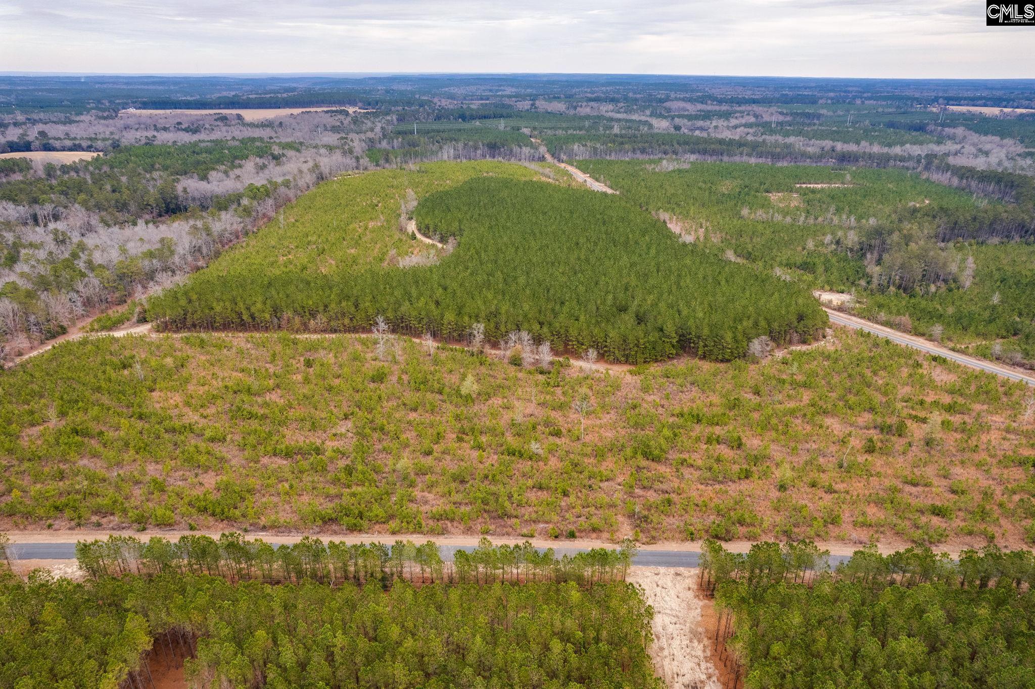 TBD Catalina Blvd Lot 17, Swansea, South Carolina image 19