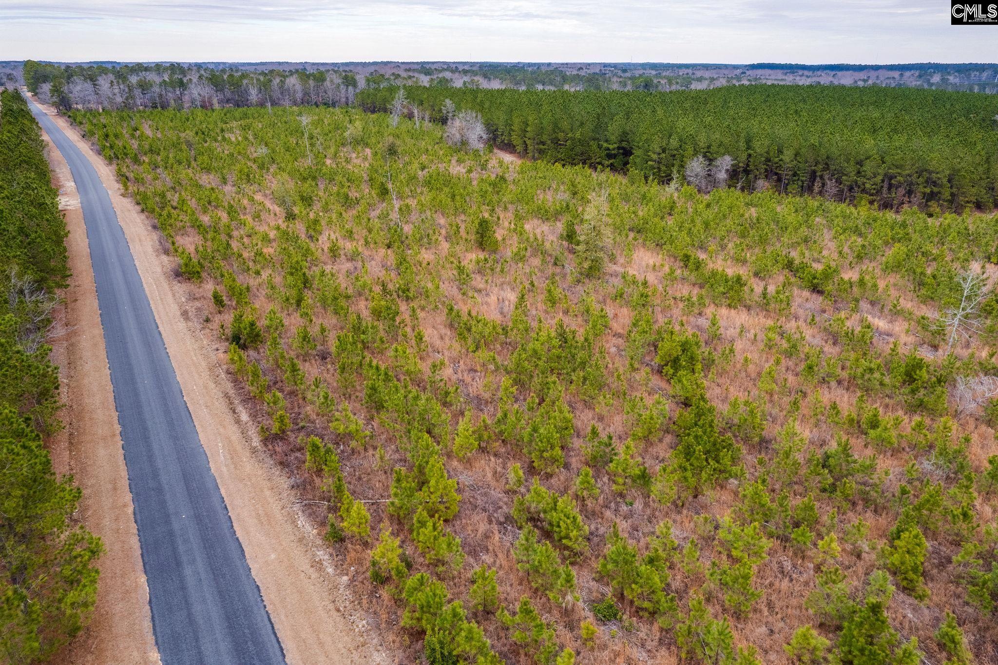 TBD Catalina Blvd Lot 17, Swansea, South Carolina image 20