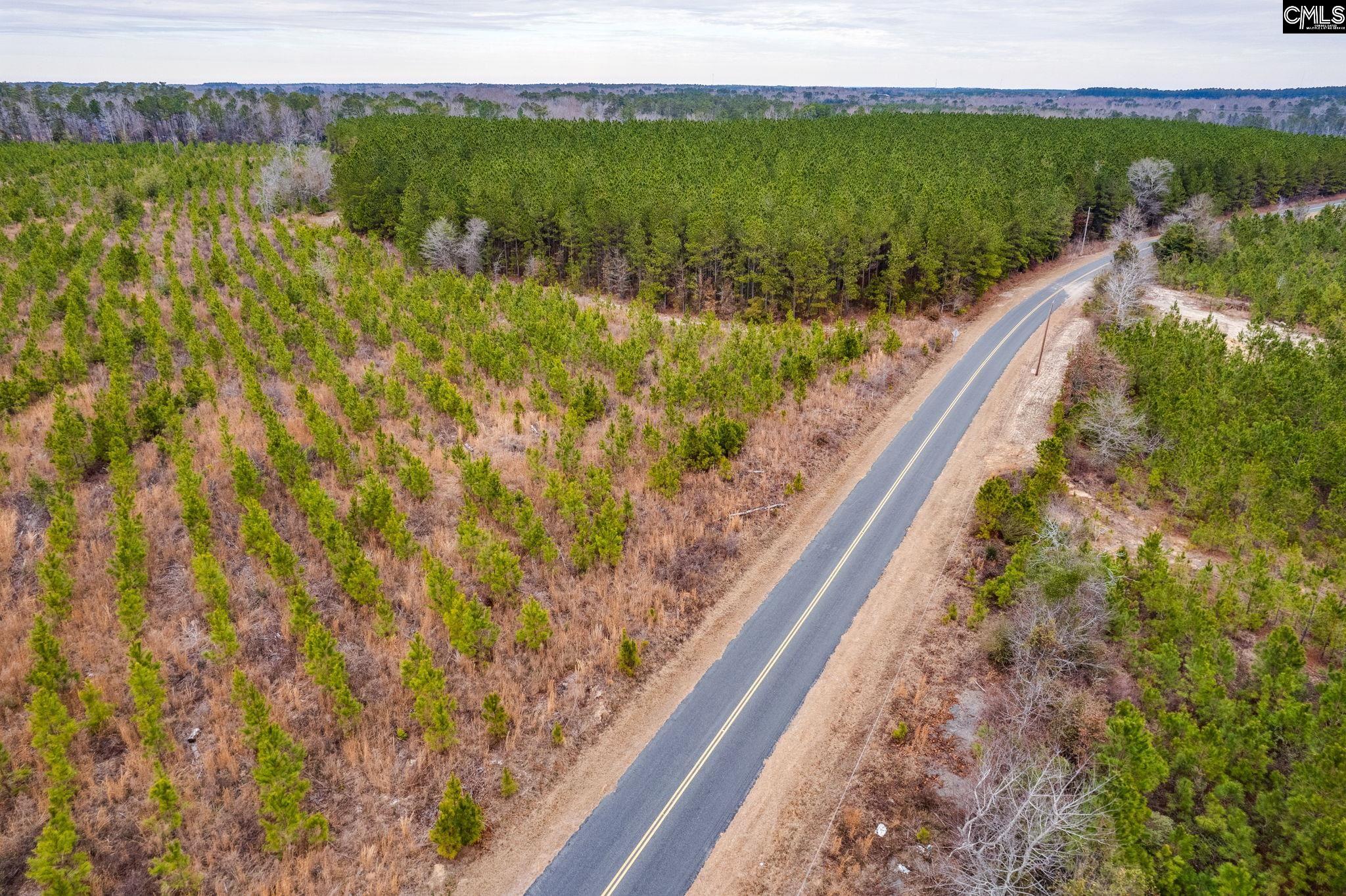 TBD Catalina Blvd Lot 17, Swansea, South Carolina image 21