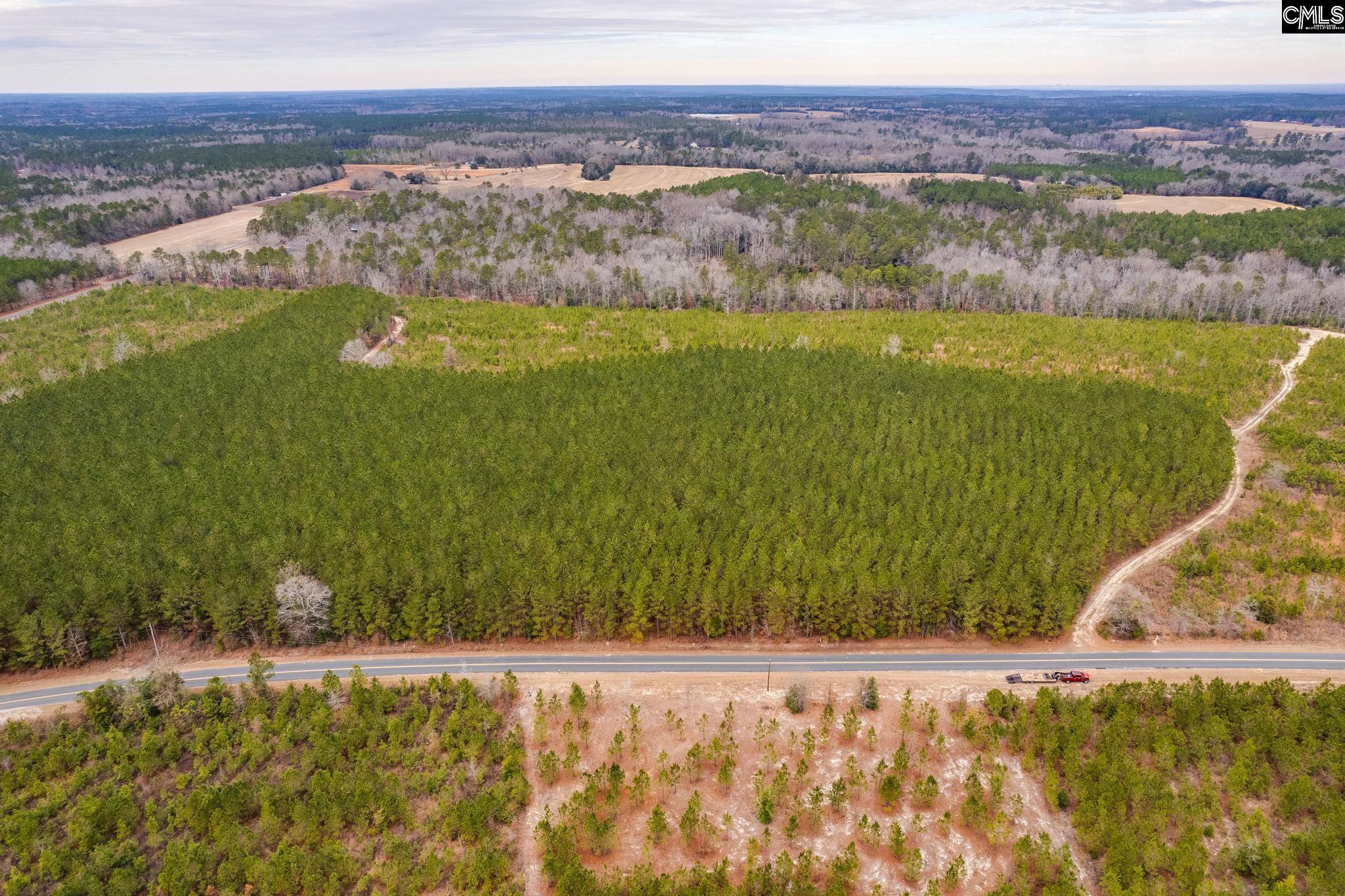 TBD Catalina Blvd Lot 17, Swansea, South Carolina image 4